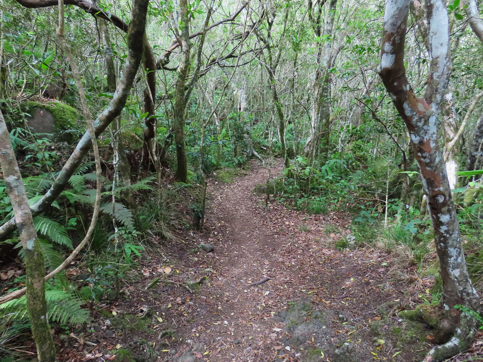 Sentier de découverte