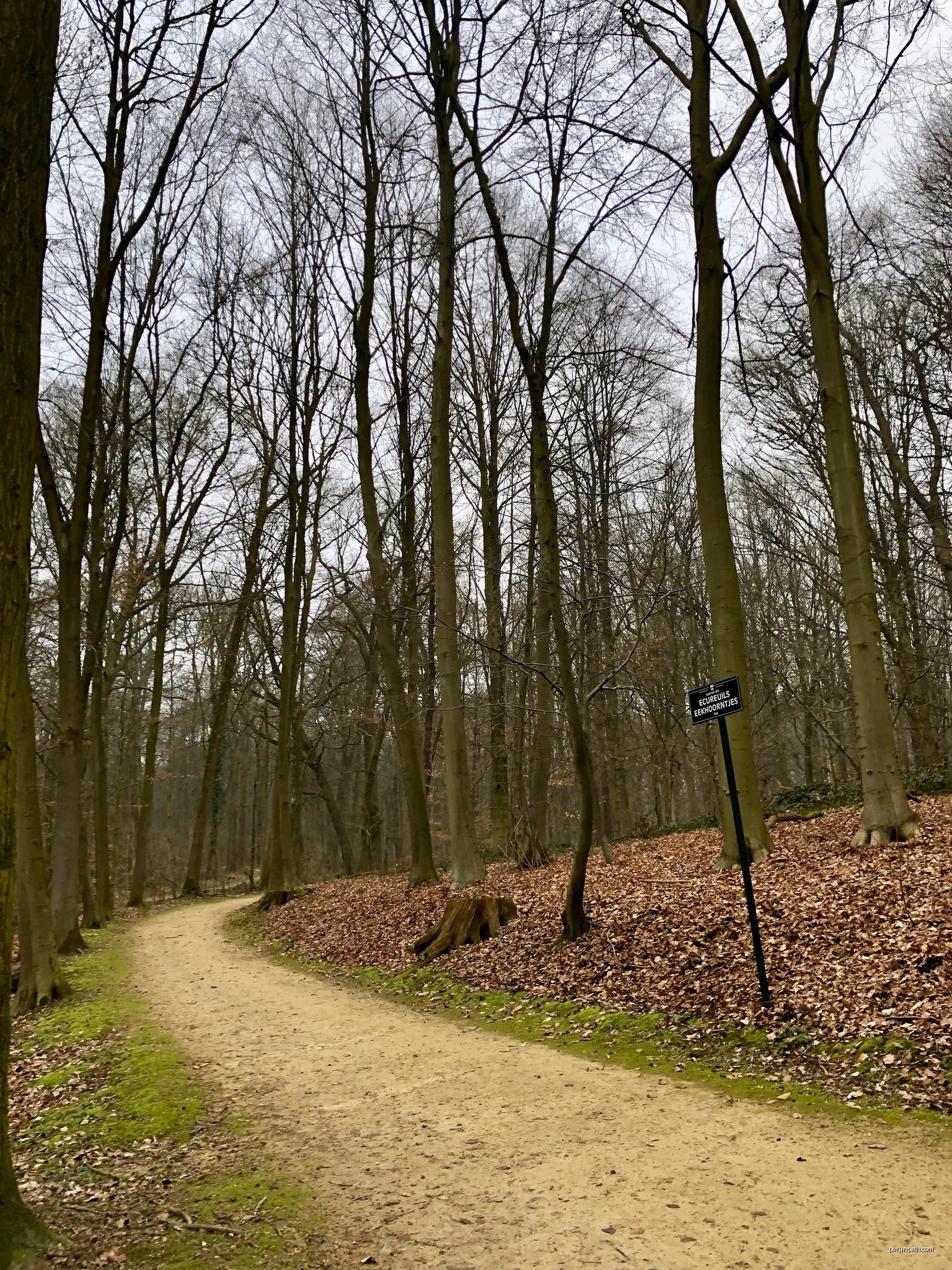 Sentier des Écureuils