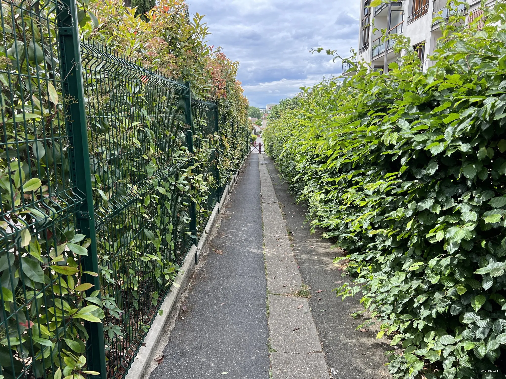 Sentier des vignes