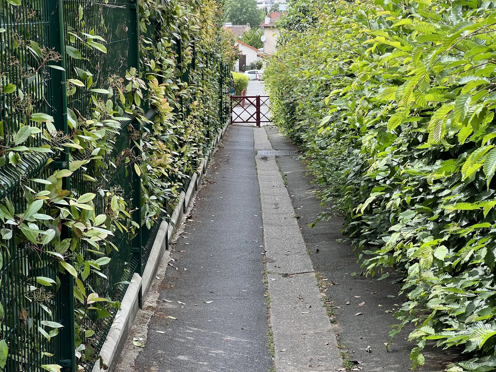 Sentier des Vignes