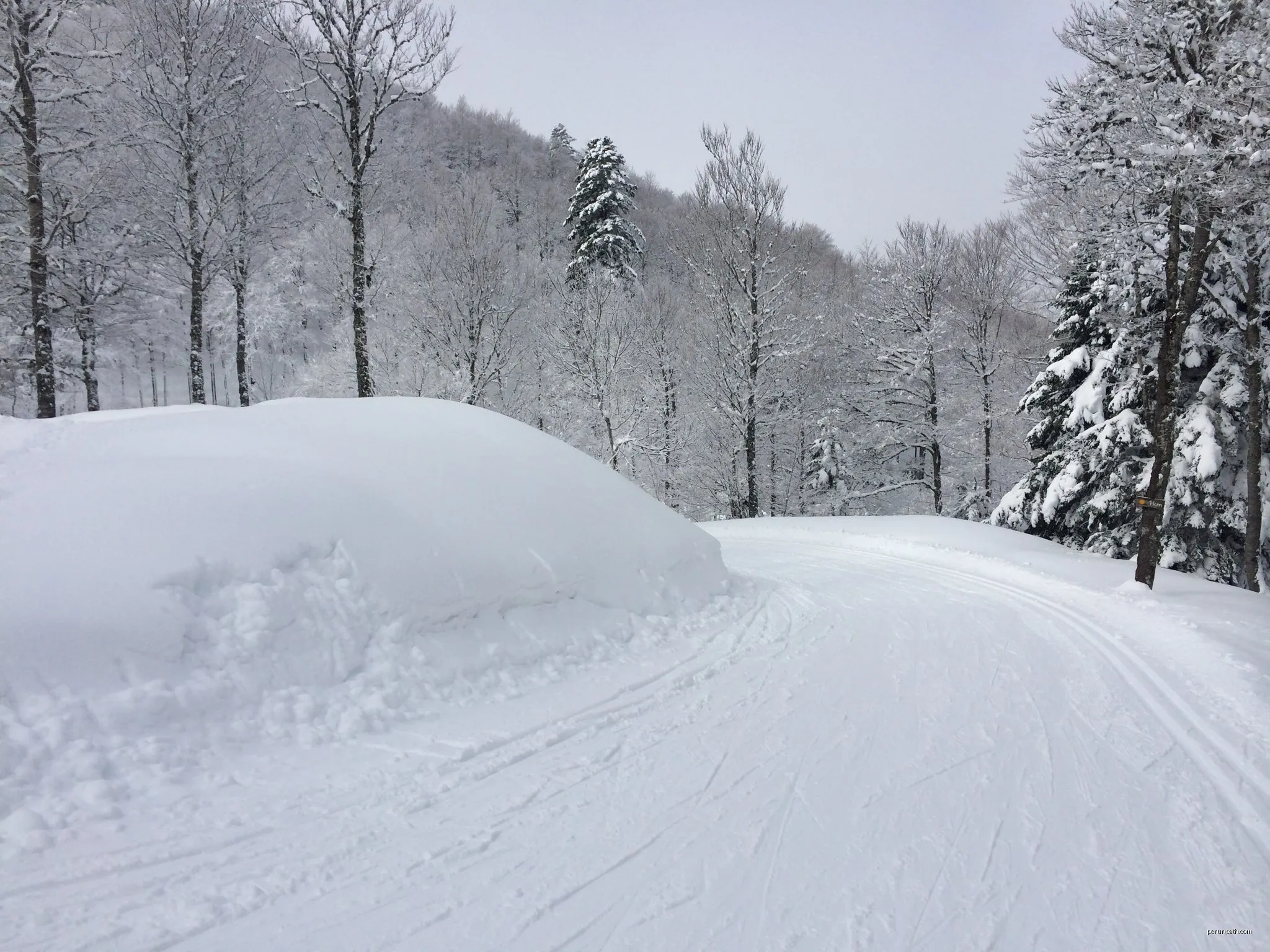 Piste Bleue du Grand Tétras