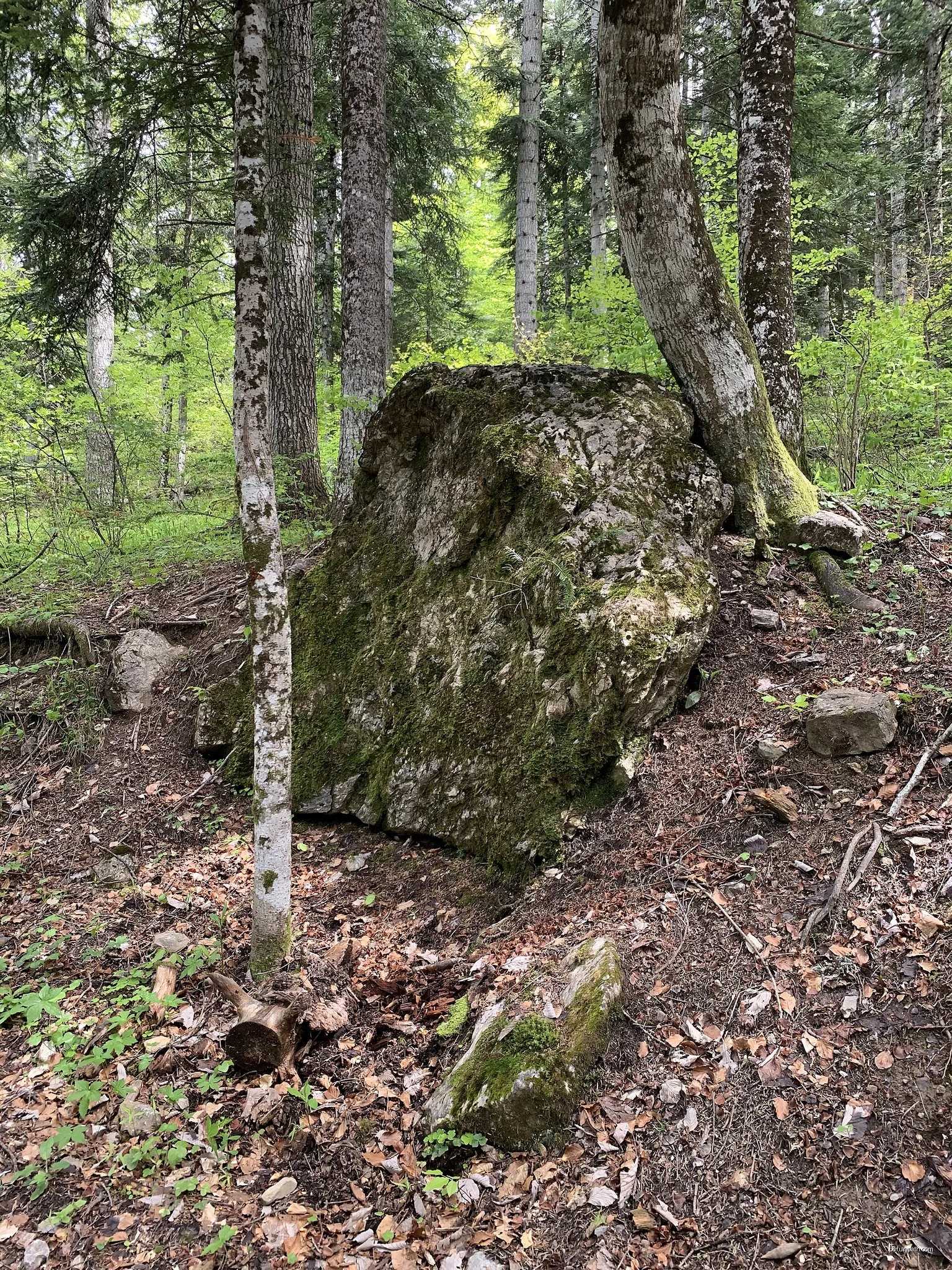 Clot des Vernes - Les Chevalets
