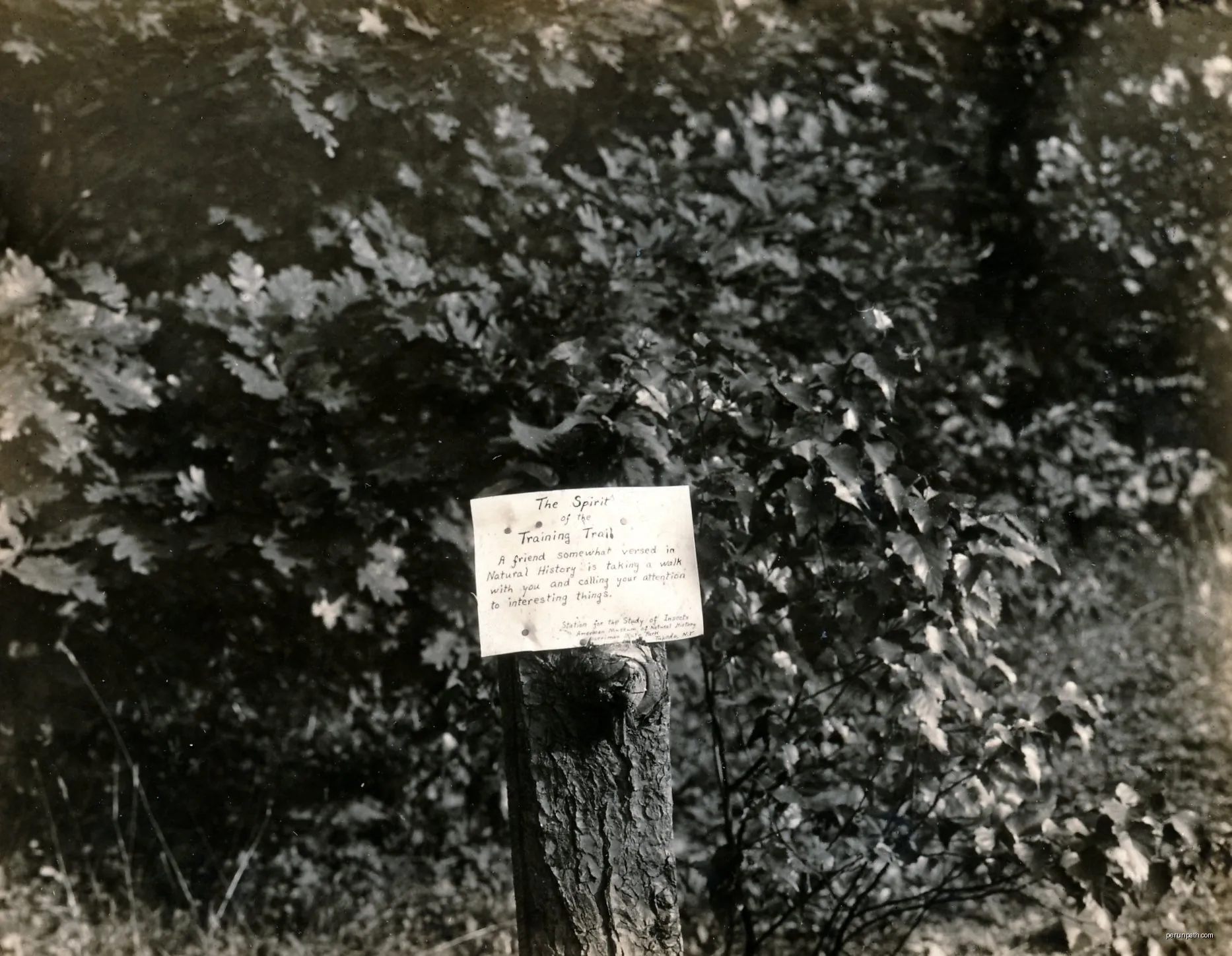 Sentier d'interprétation