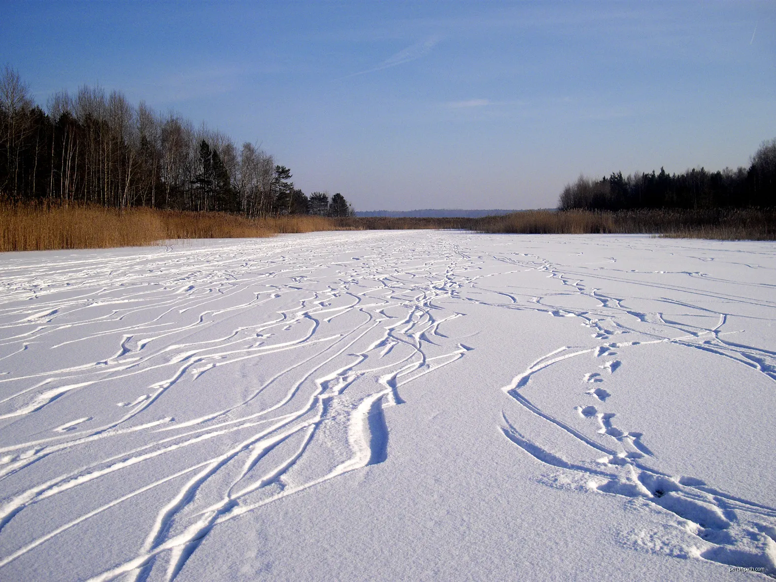Spuren im Schnee | Autor: G.Elser | Licencja: CC BY 3.0 | Źródło: Wikimedia Commons