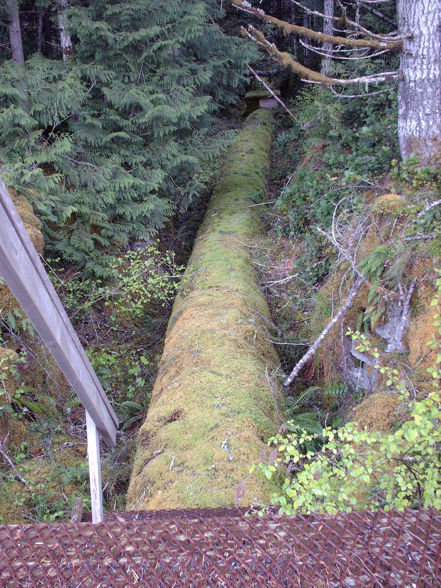 Start of Sooke flowline | Autor: Kiwibirdman | Licencja: CC BY 3.0 | Źródło: Wikimedia Commons