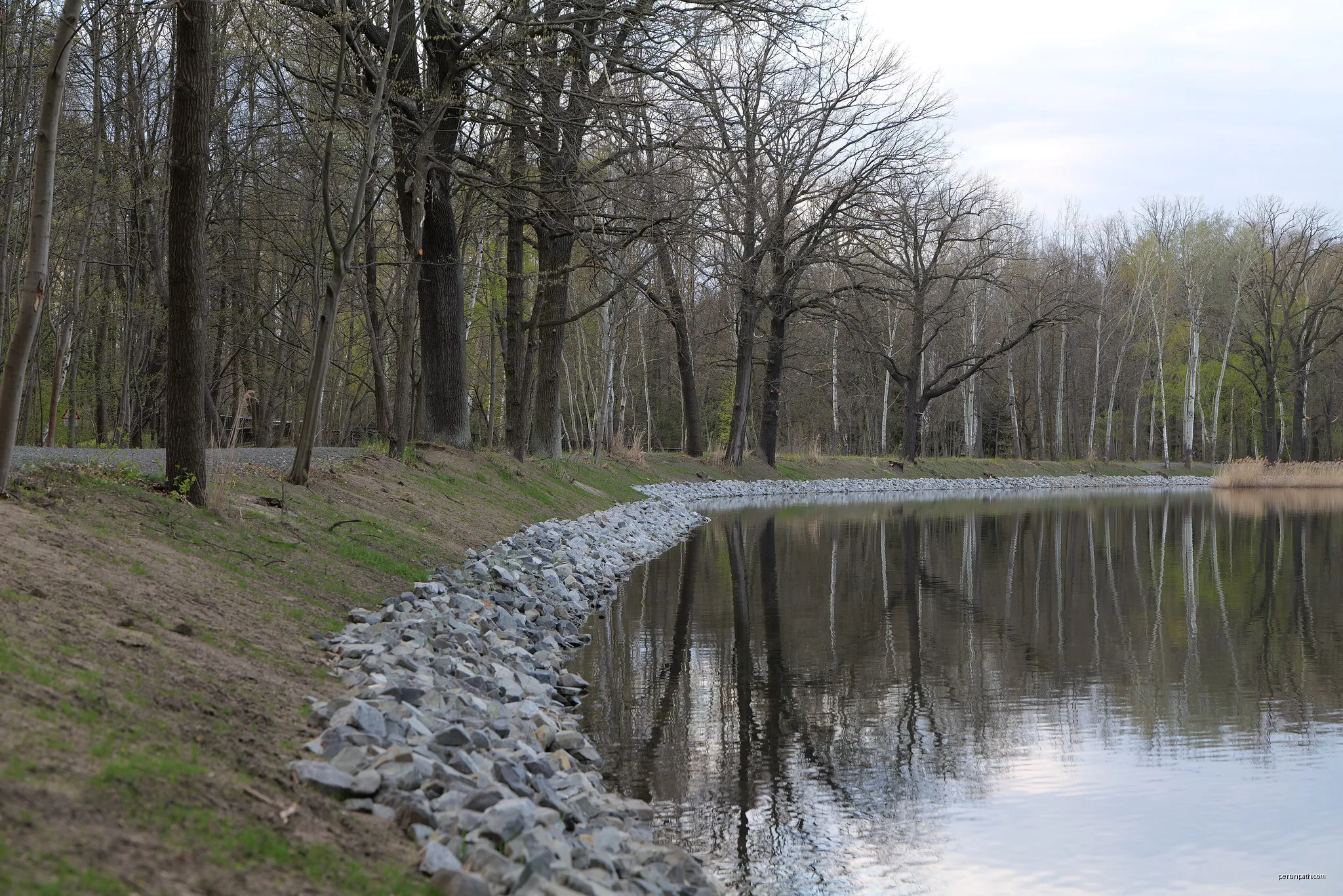 Streckteich der Peitzer Teiche am 24. April 2021. | Autor: Leonhard Lenz | Licencja: CC0 | Źródło: Wikimedia Commons