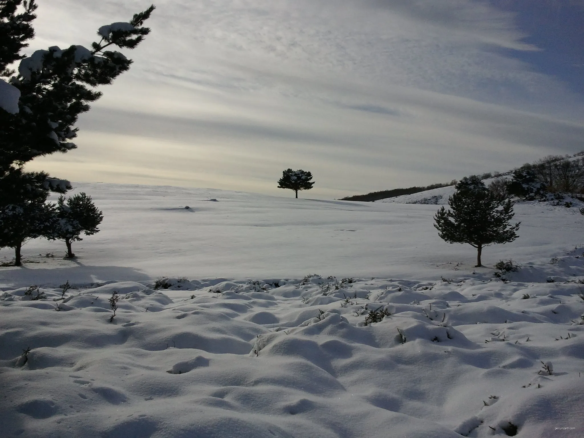 Murua-Gorbea