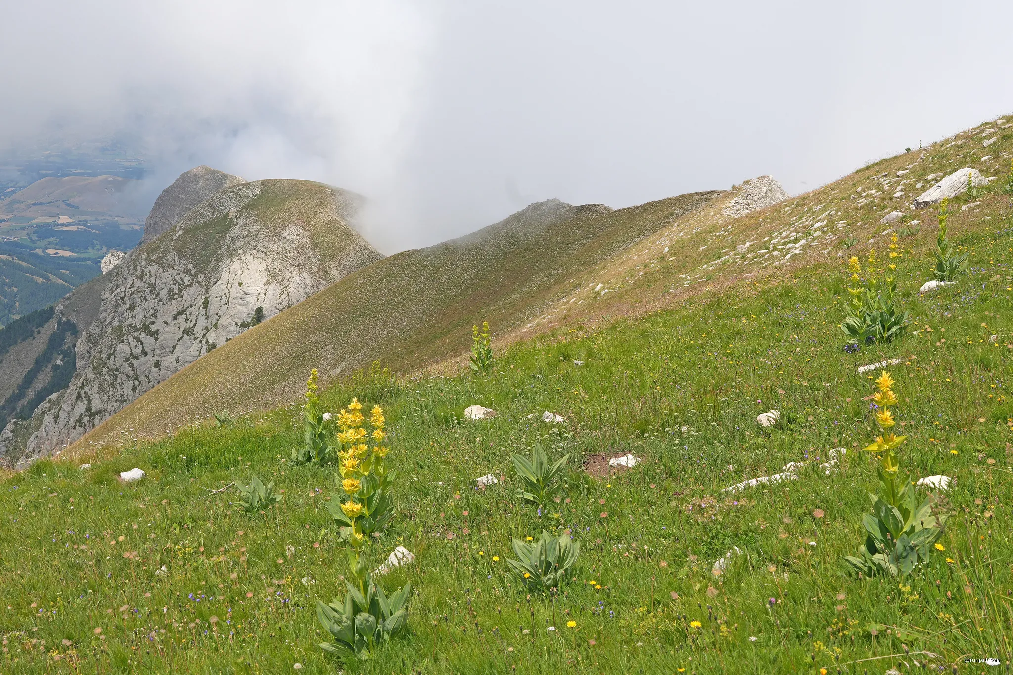 Col de Chorges - Combe Belle