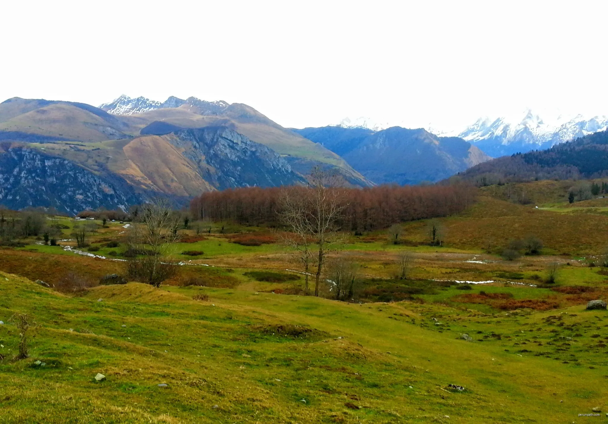 Les cercles de pierre