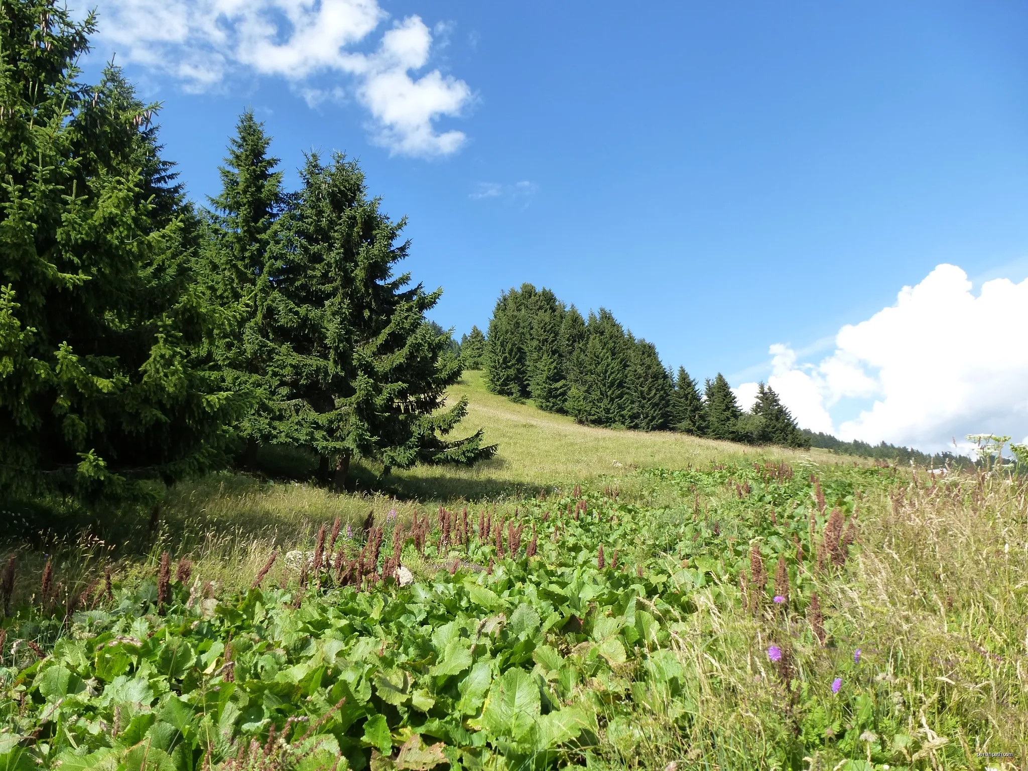 5 - Mont Blanc