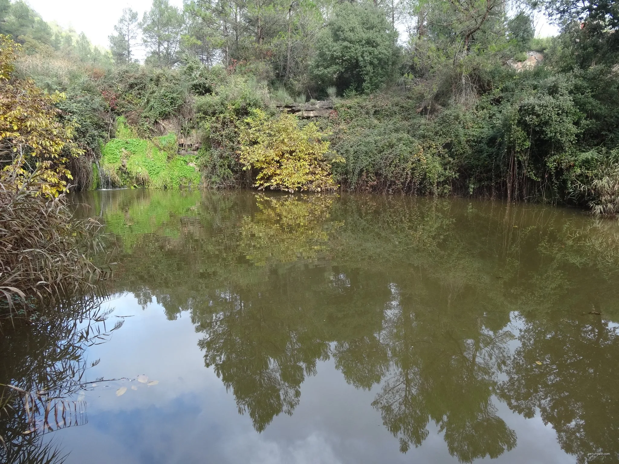 Santpedor Circular