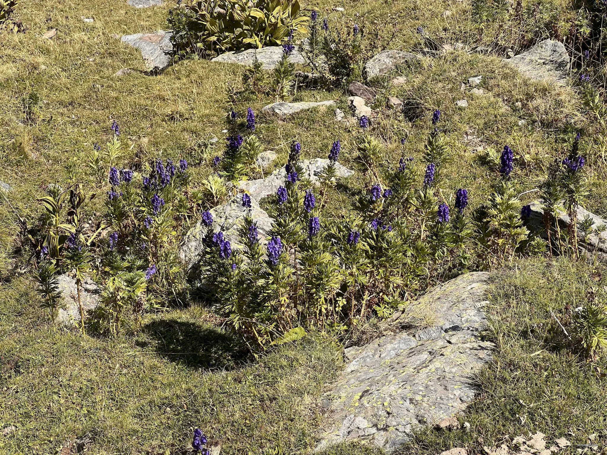 Santuari de Núria al Coll de Finestrelles