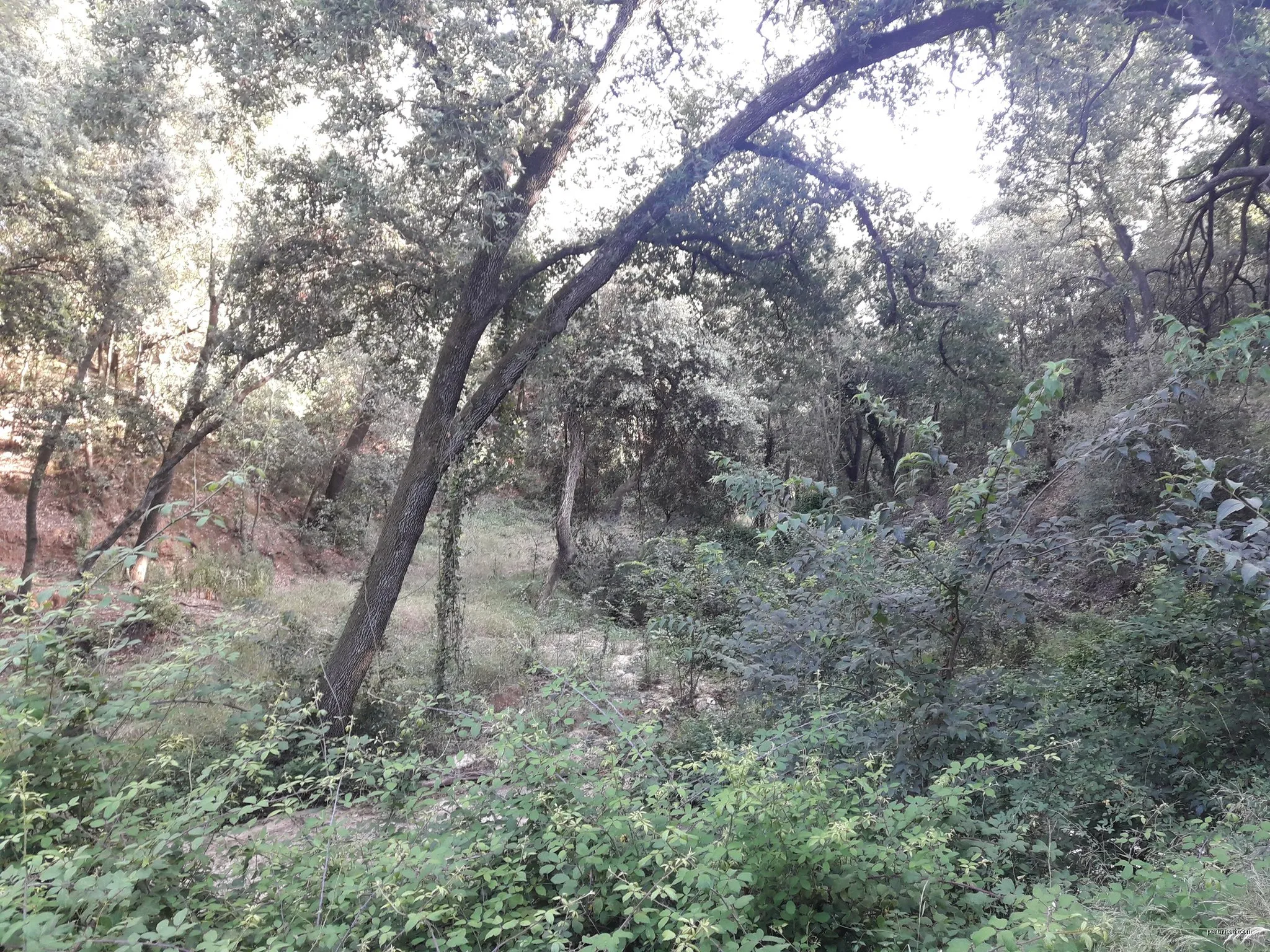 Circular d'Ègara - Terrassa