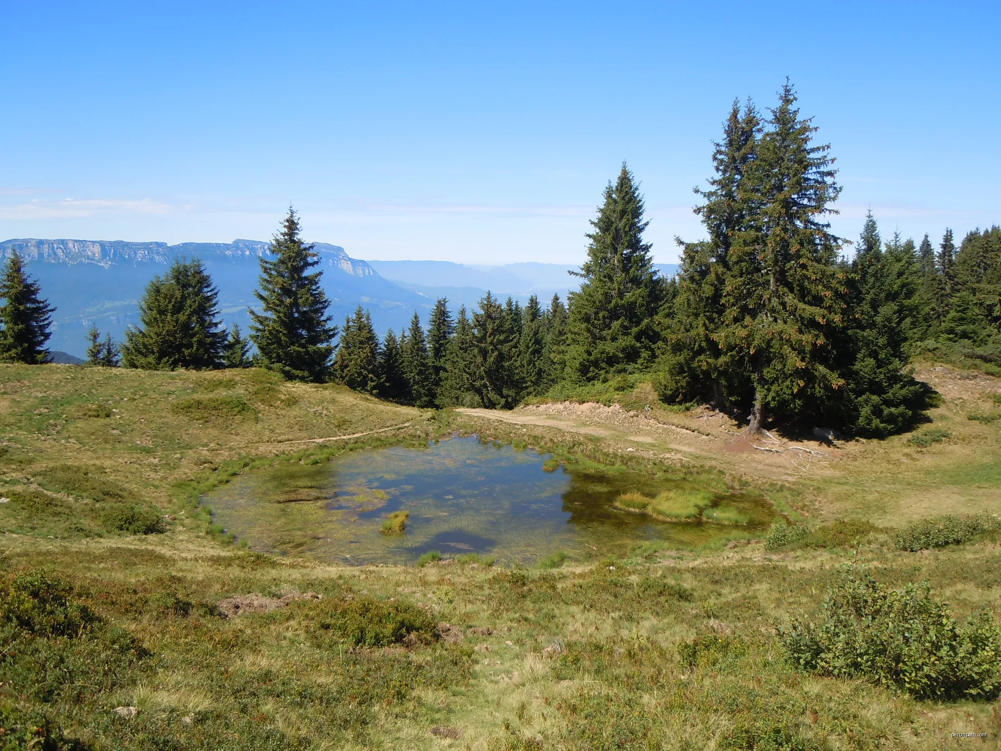 Le plateau