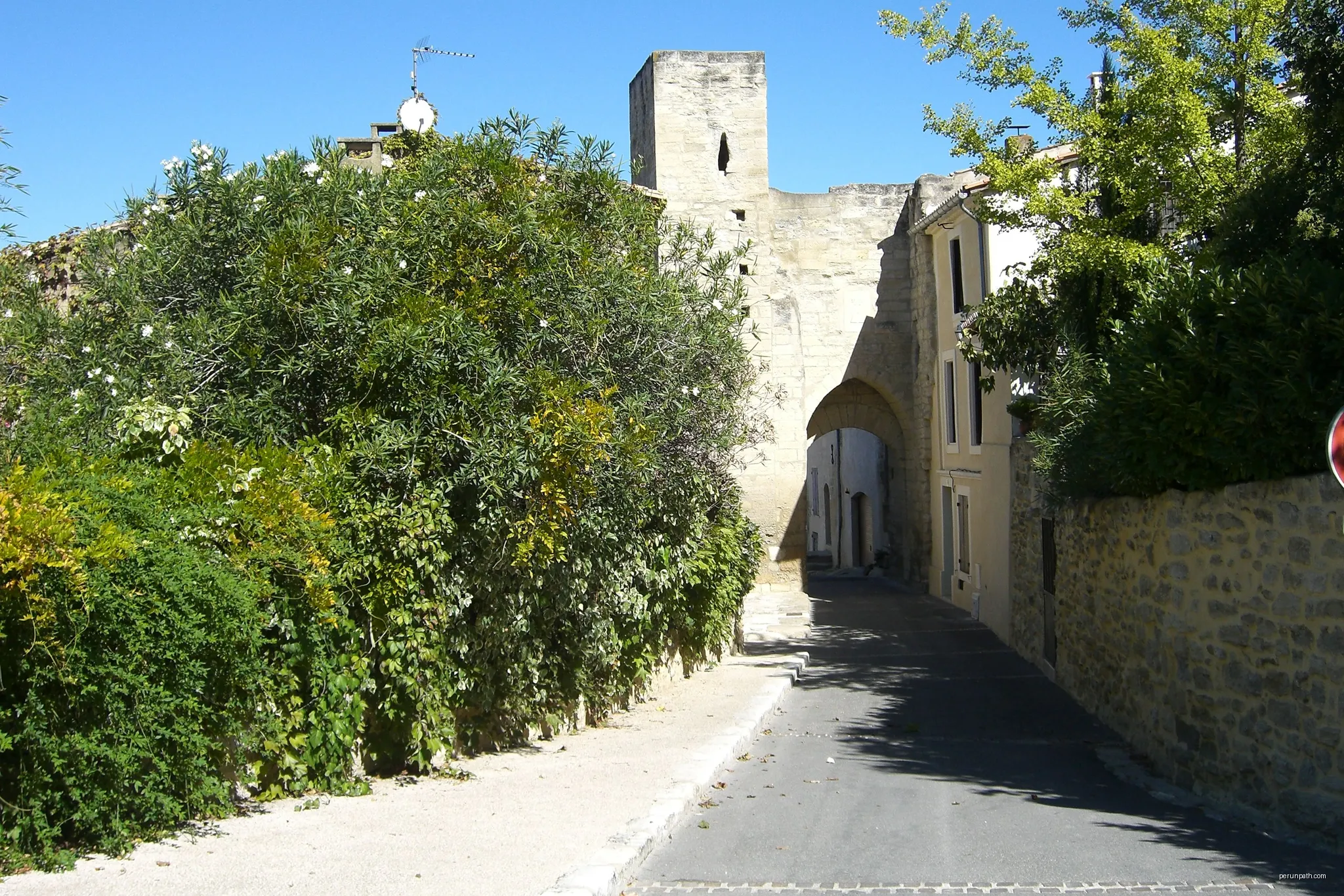 Les Espidègles