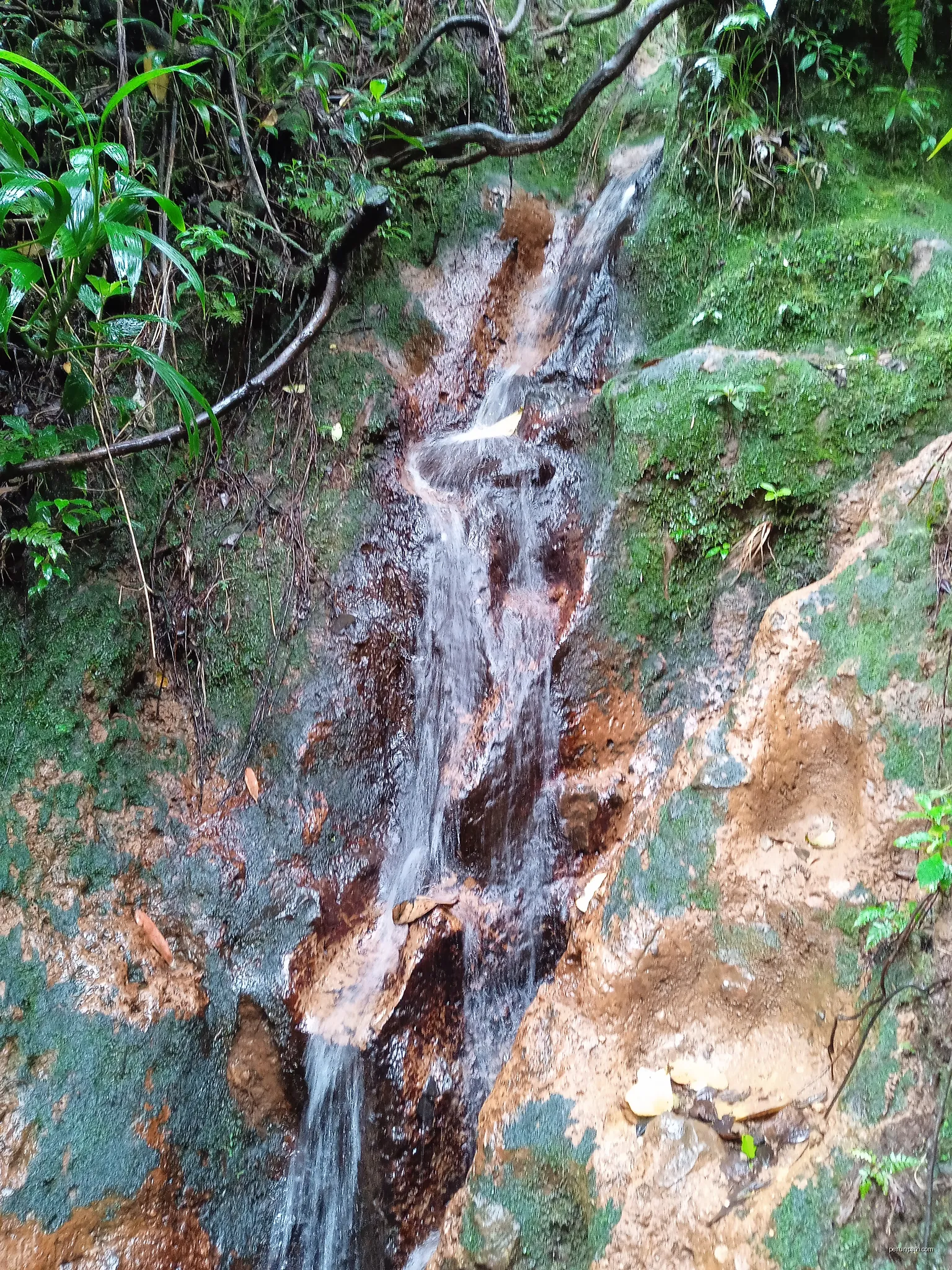 La Trace