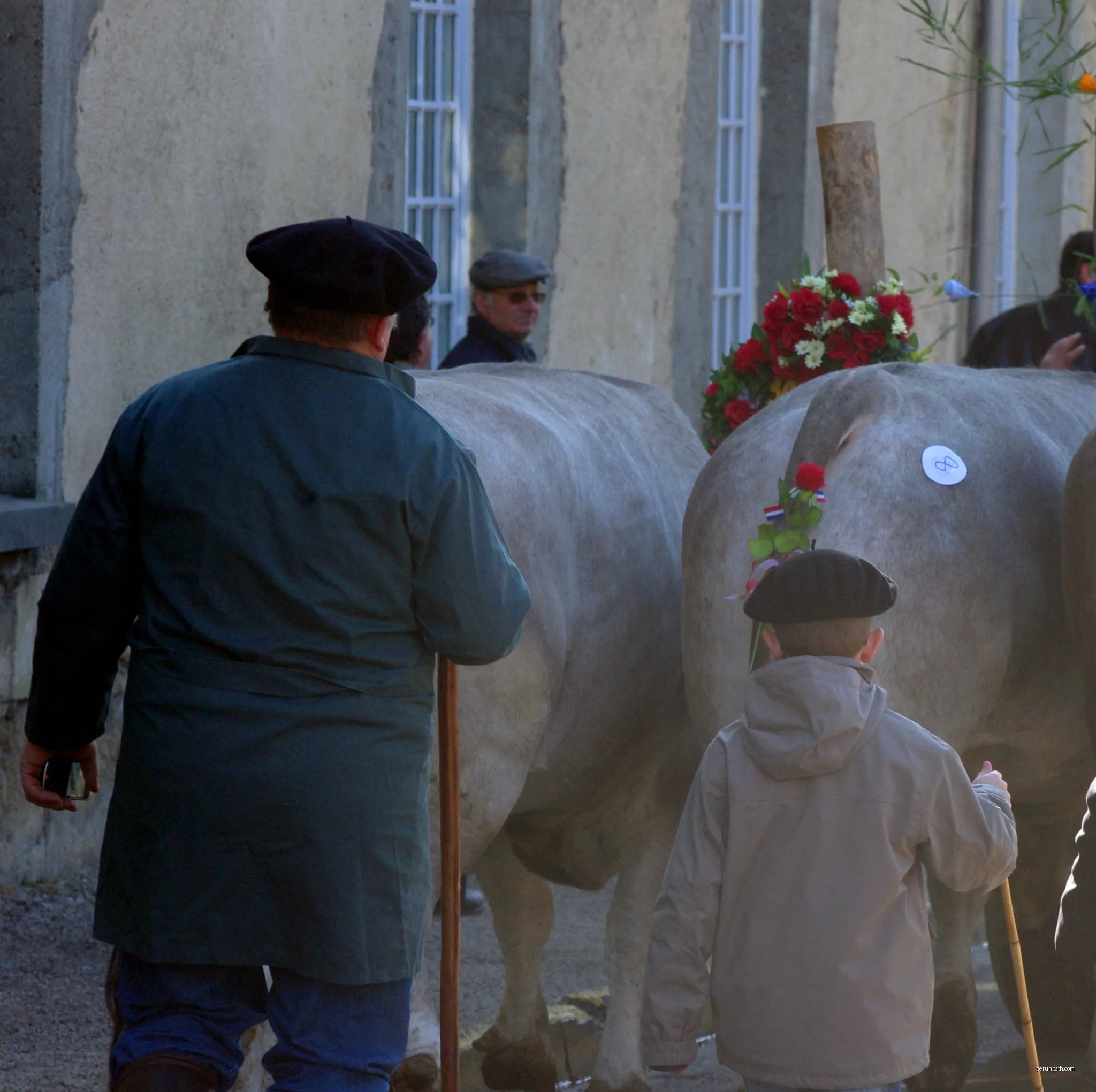 Bazas - Roquefort
