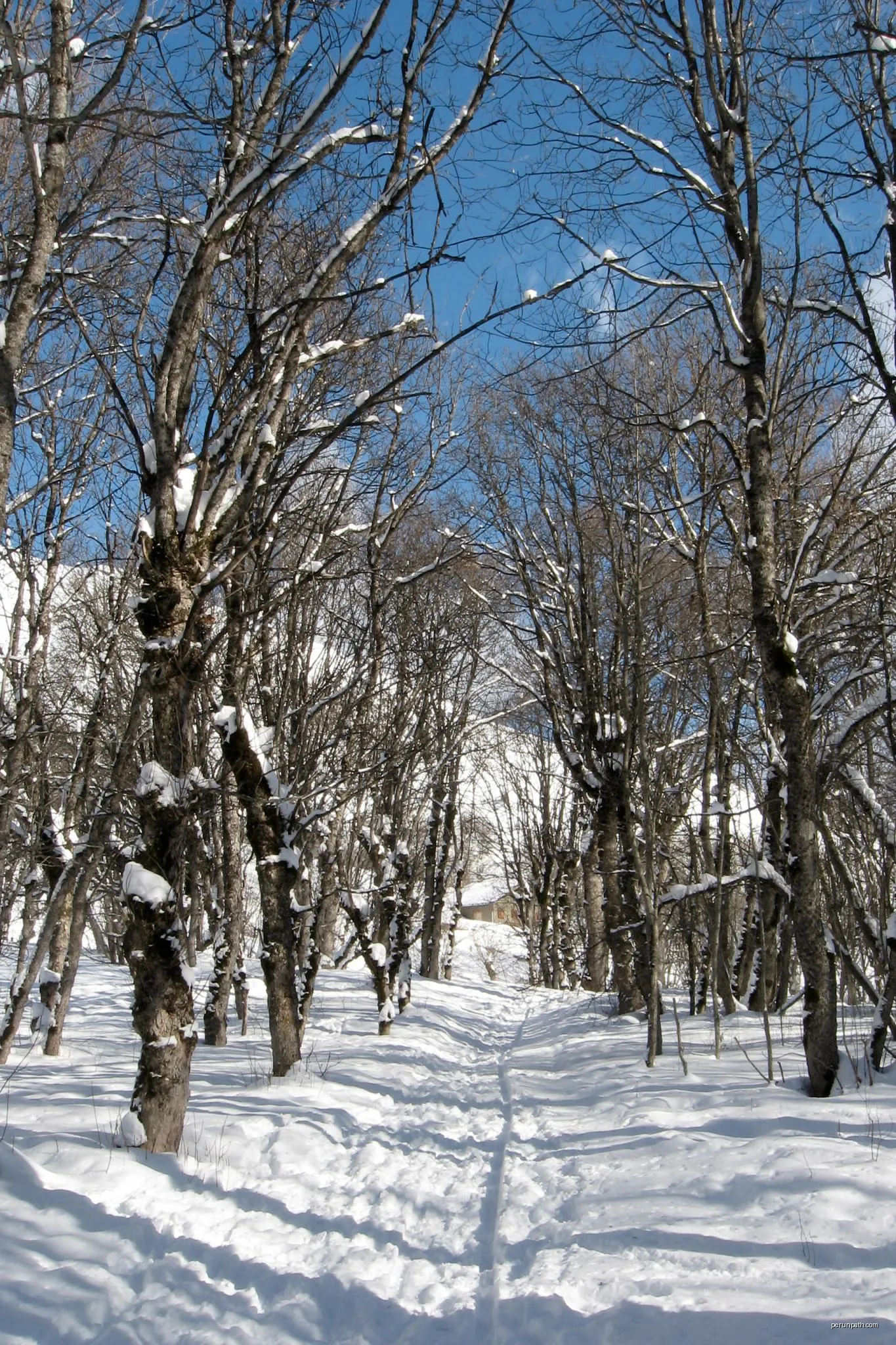 Piste des Îles