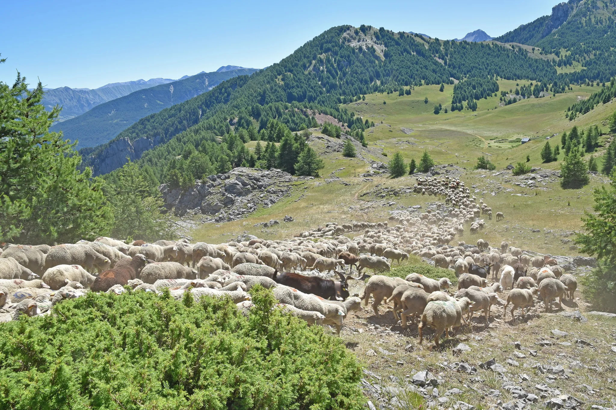 Les Portes de Morgon - Source Font Deillieres