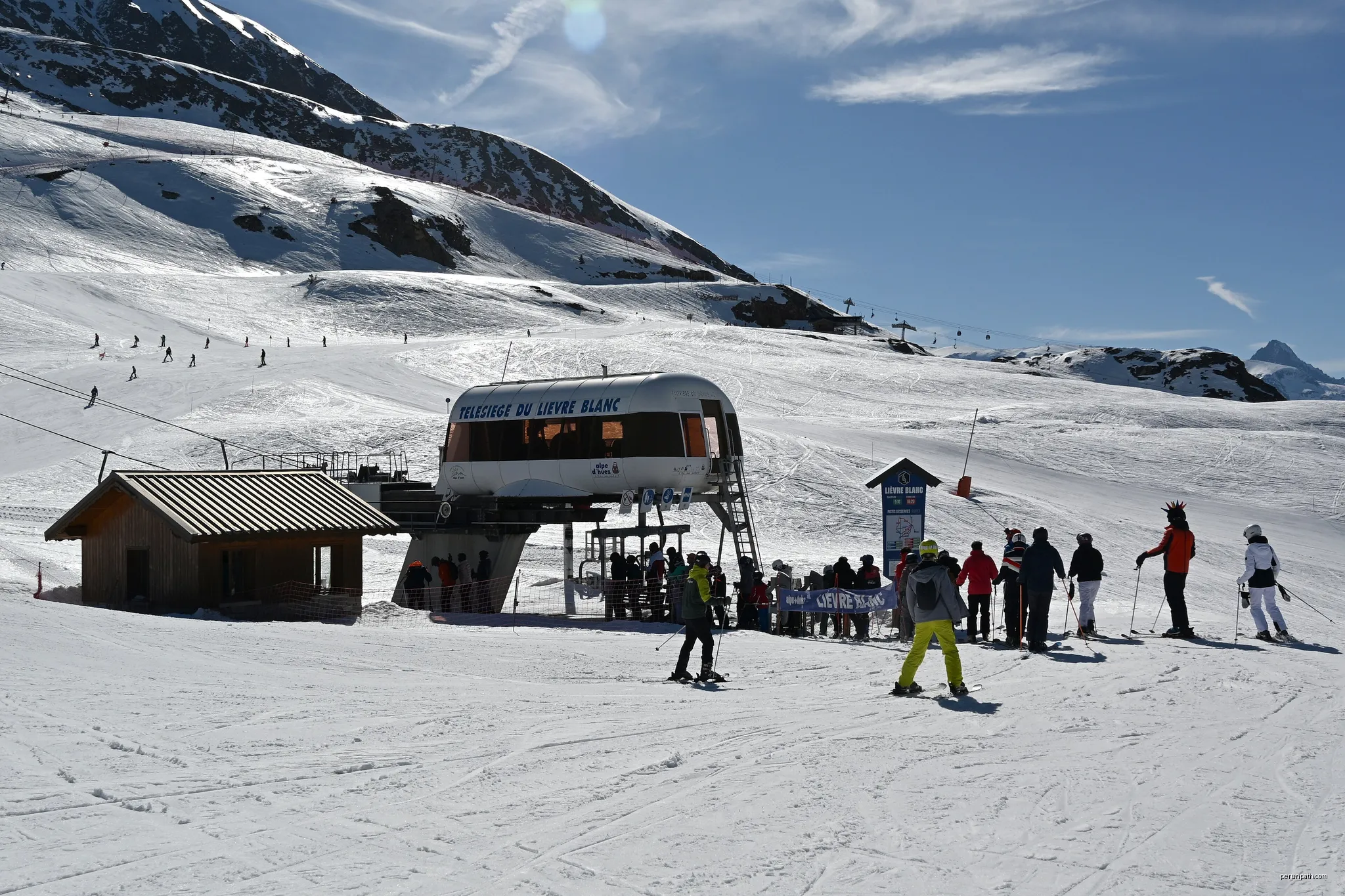 Lièvre Blanc