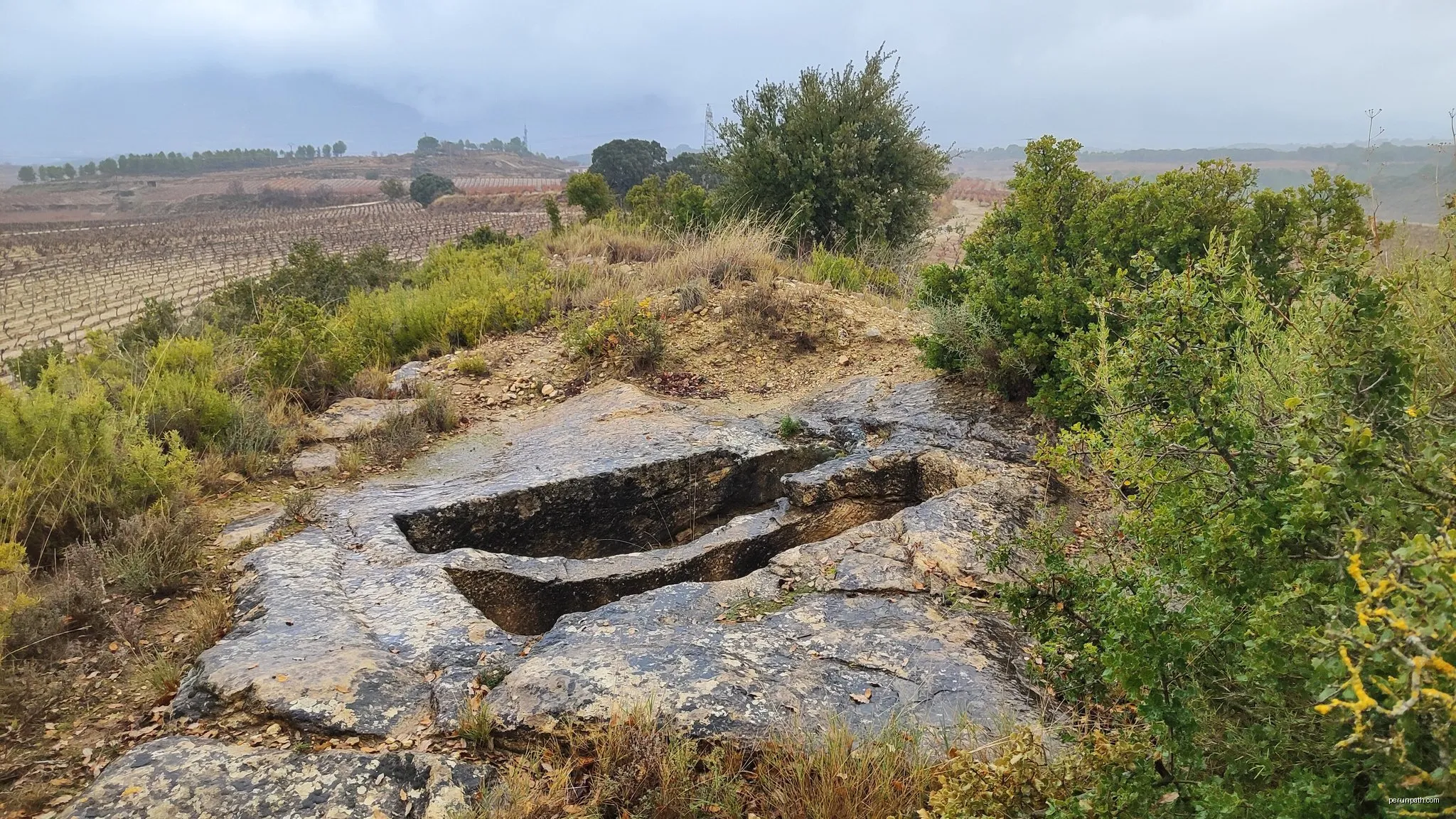 Sendero del Vino A-10