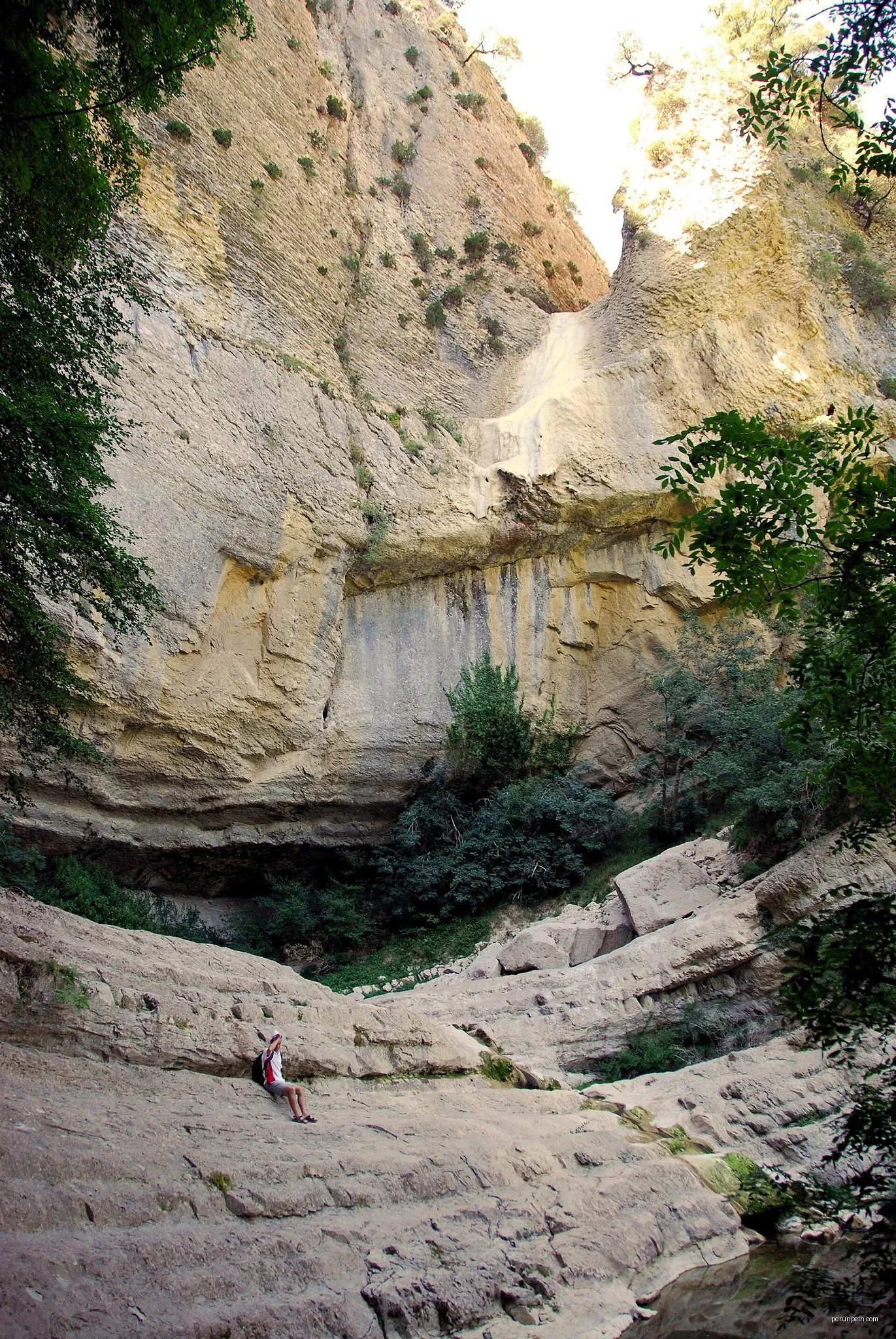 Ollarango Itzulia