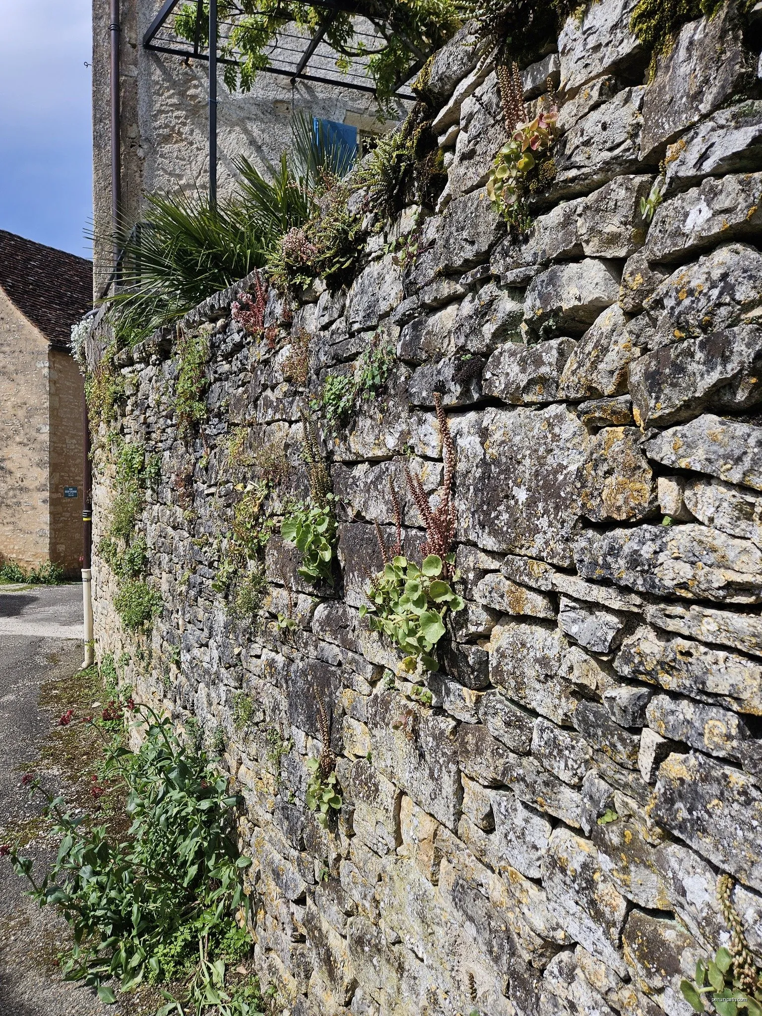 Le Tour de Ladoux