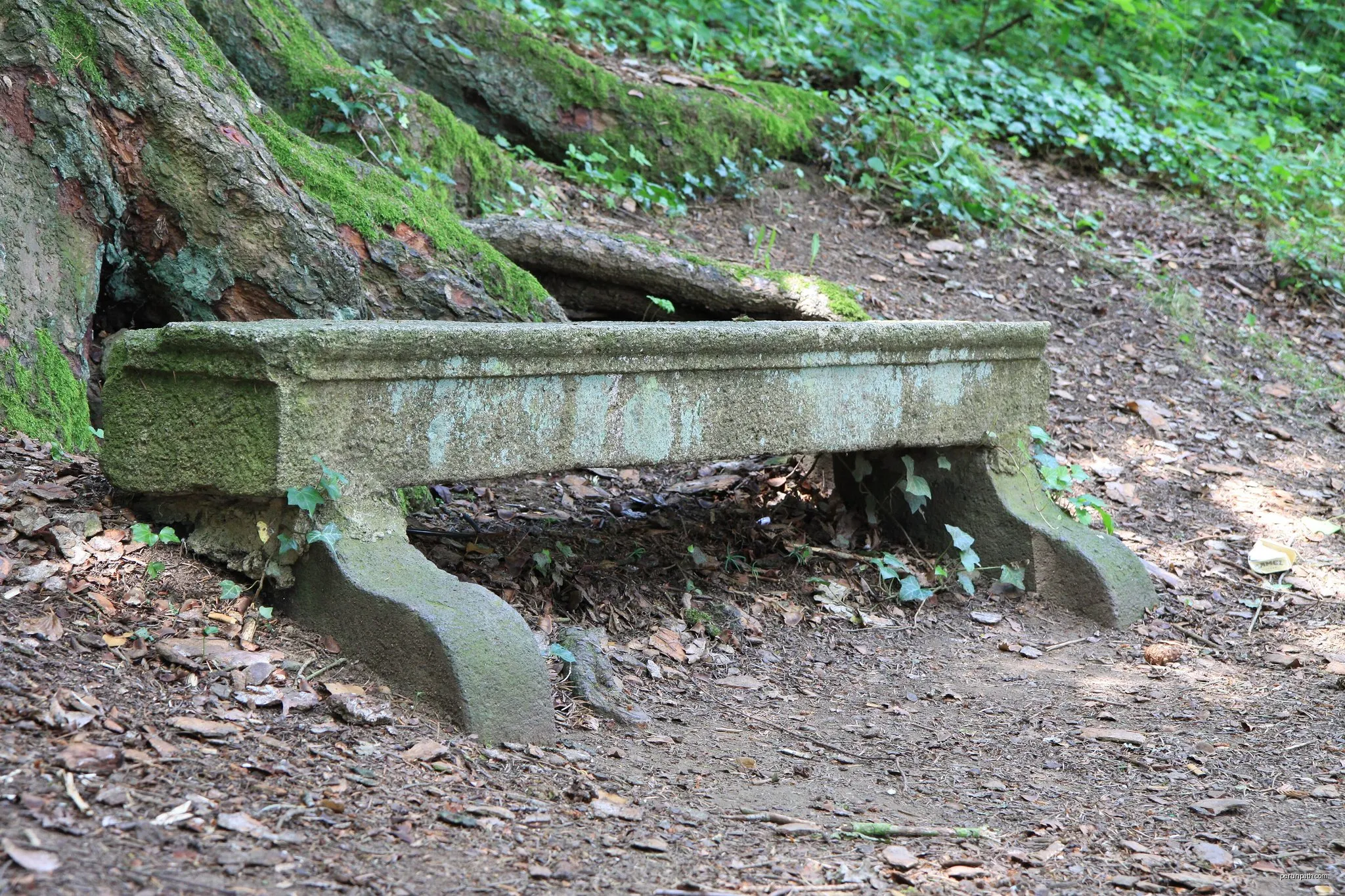 Le Gour de Tazenat
