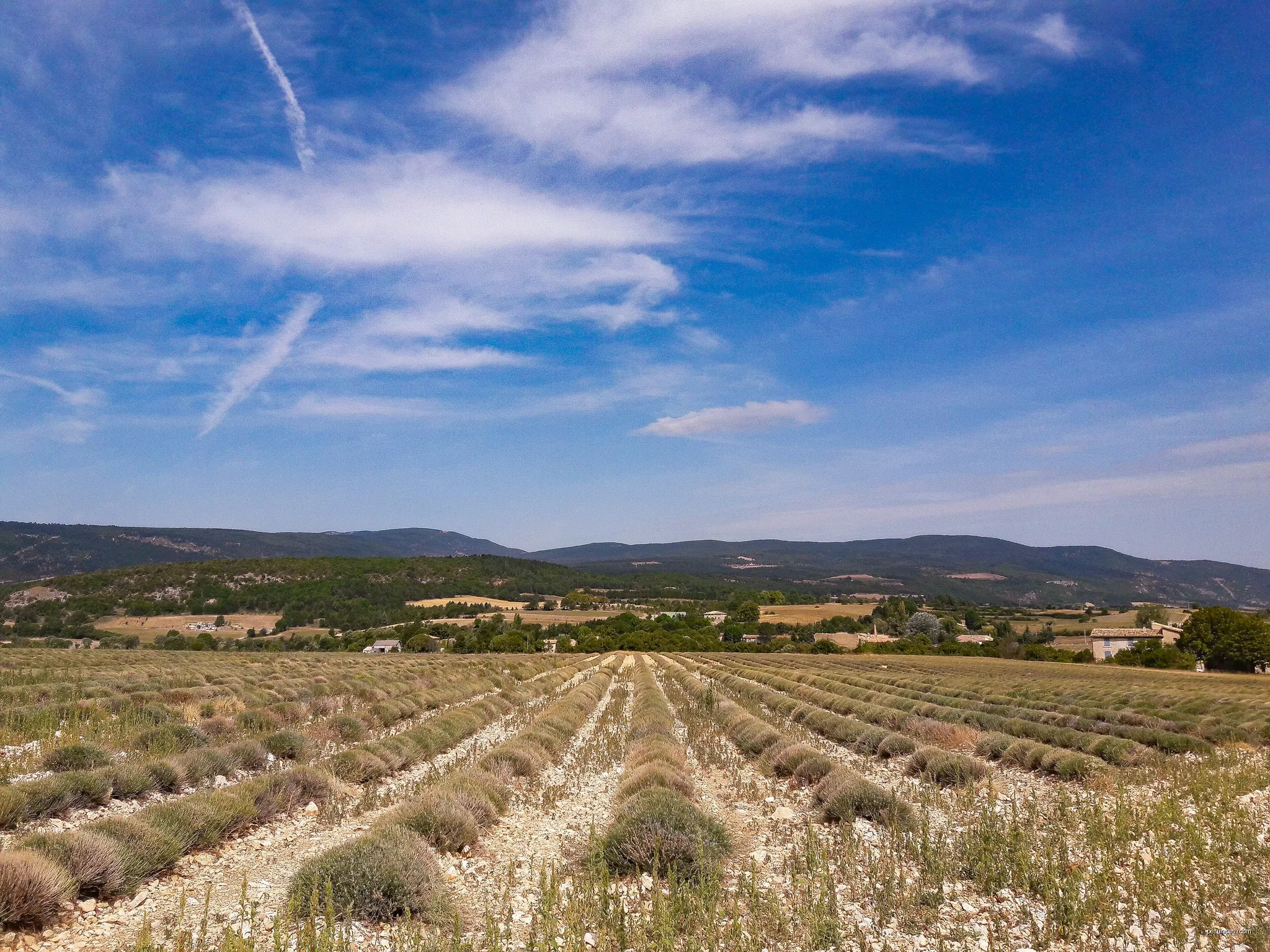 Le Plateau de Sault