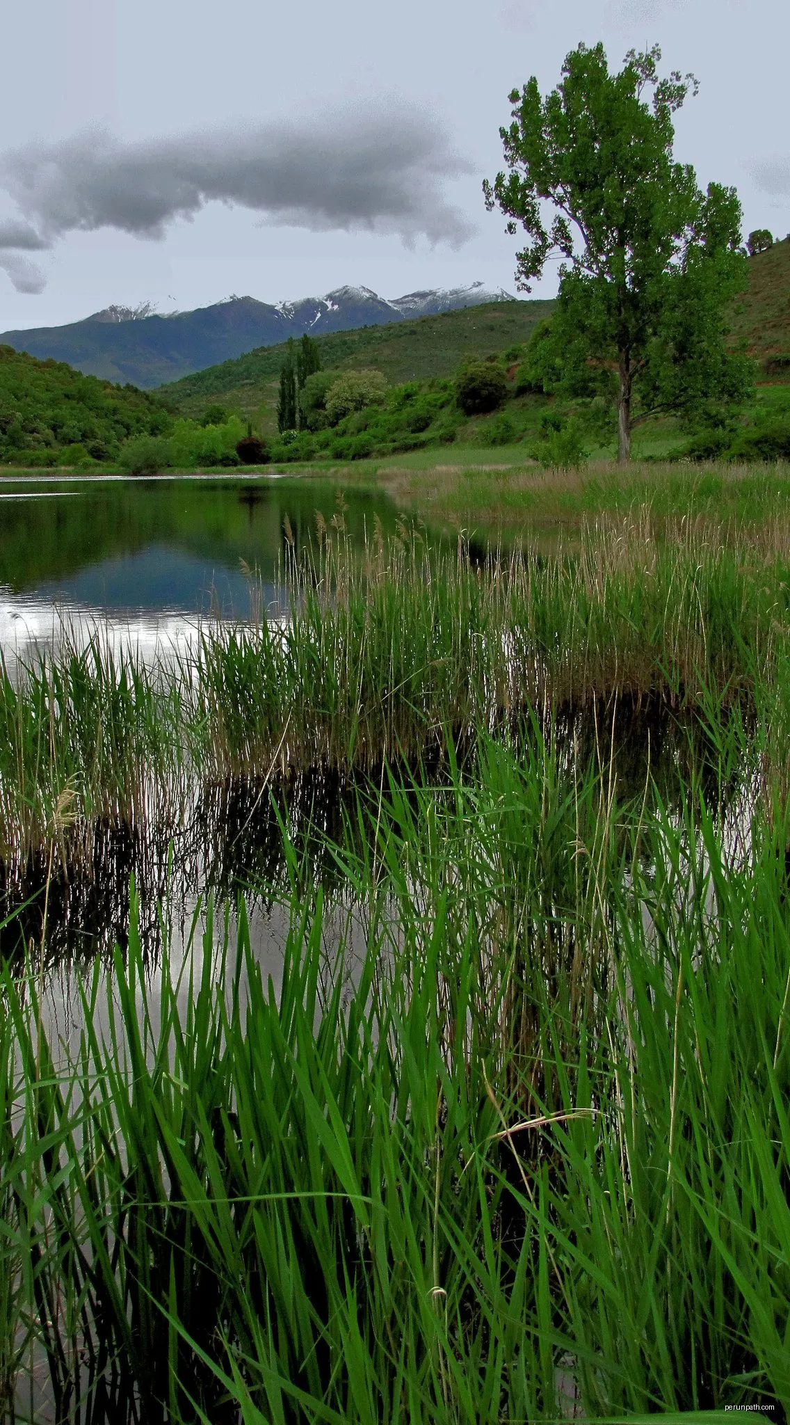 Circular del Karst