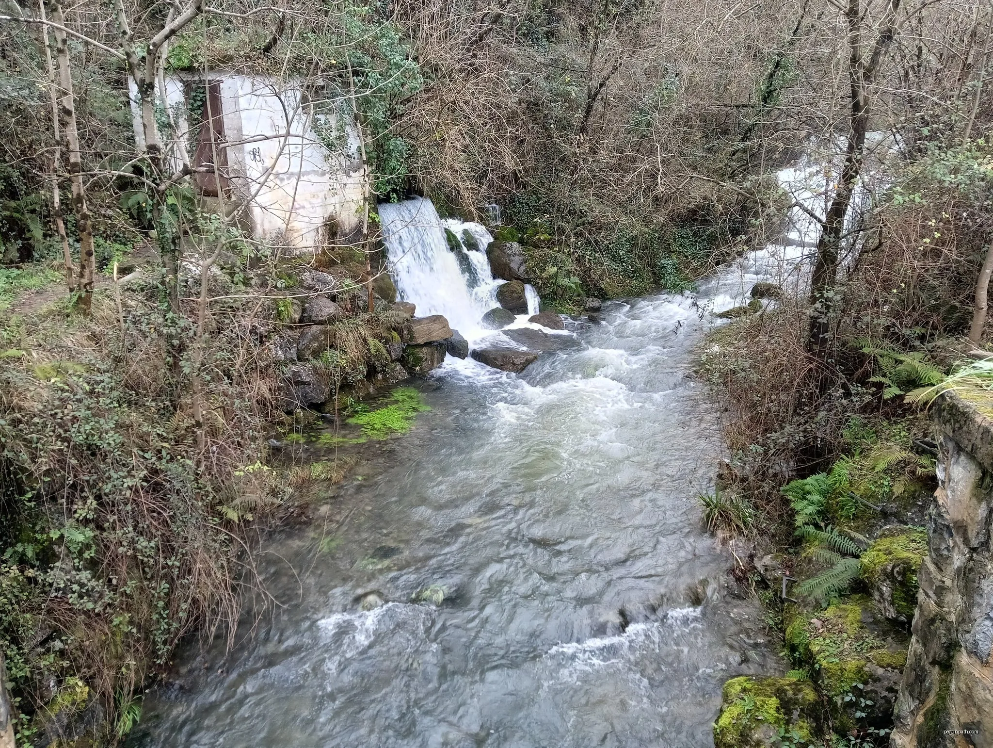 Kurutzebarriko itzulia