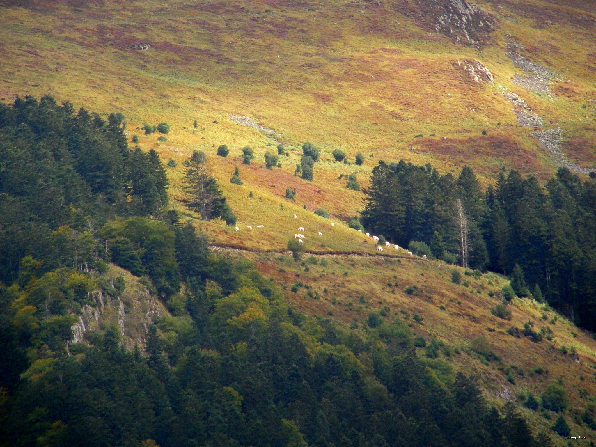 Cabane de Conques