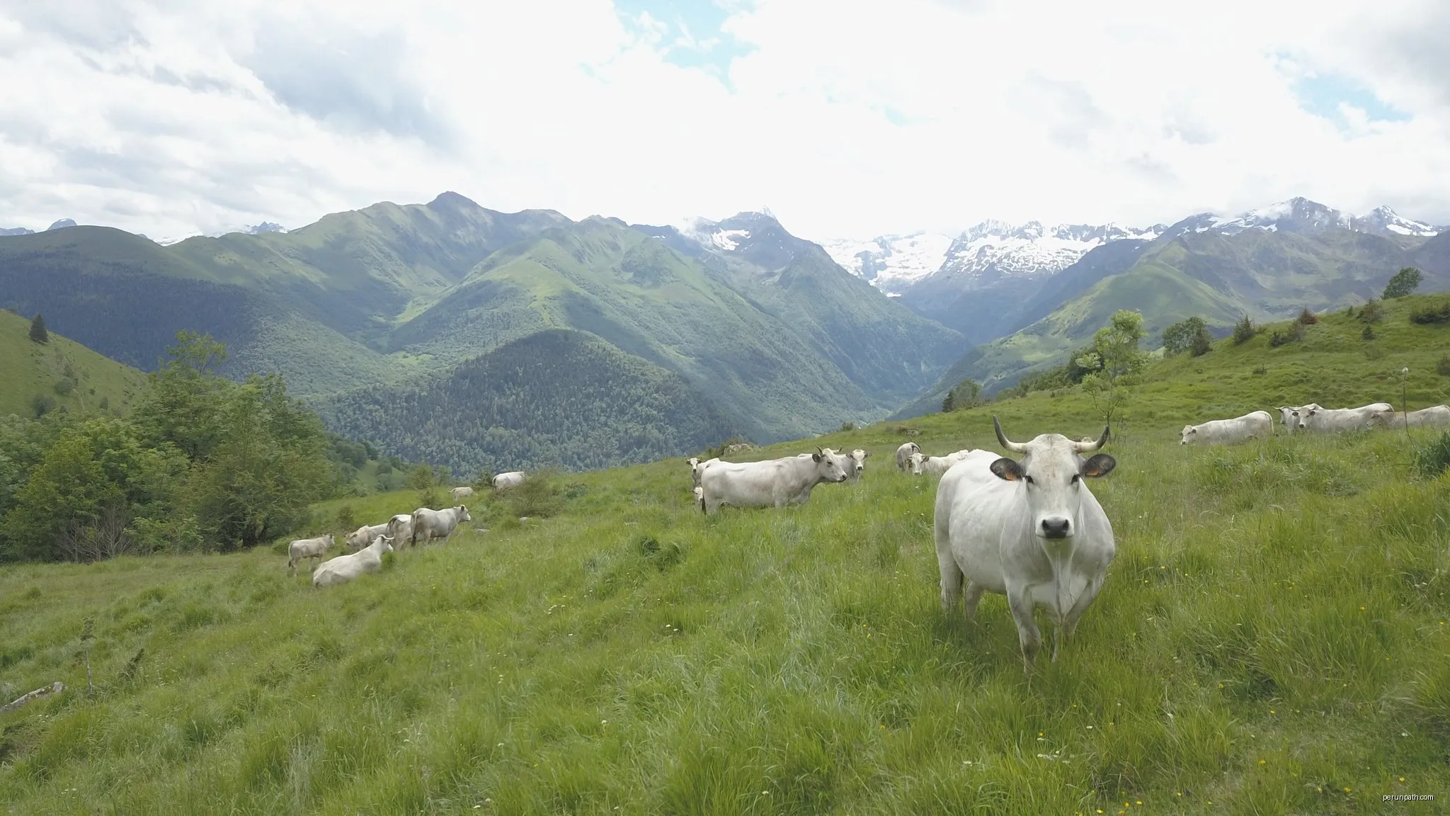 Boucle dans la vallée du Larboust et la Vallée d'Oueil