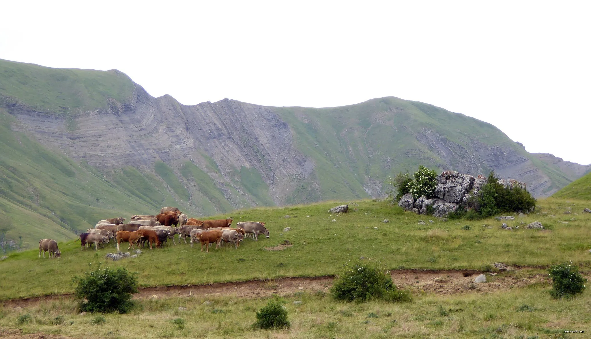 esquí de montaña: Tendeñera desde Linás