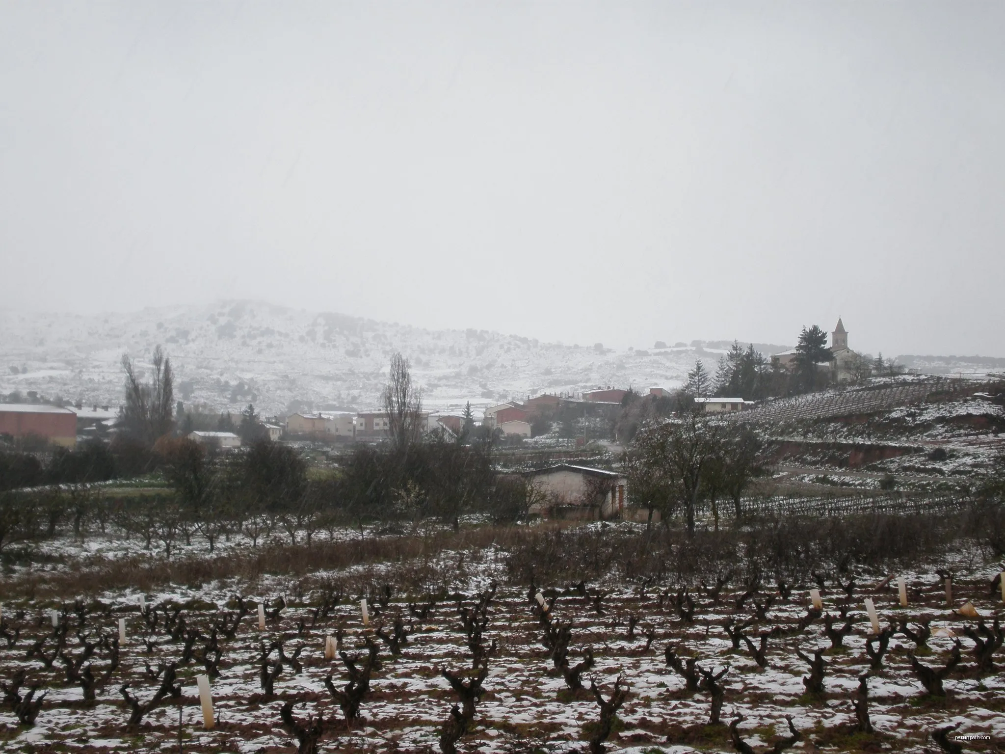 Ruta Viamolinos