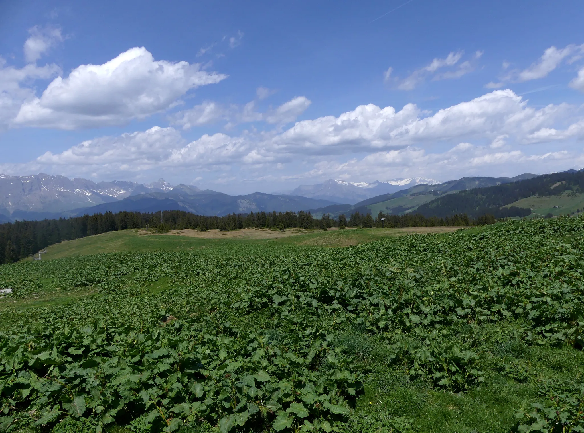 4 - Panoramique