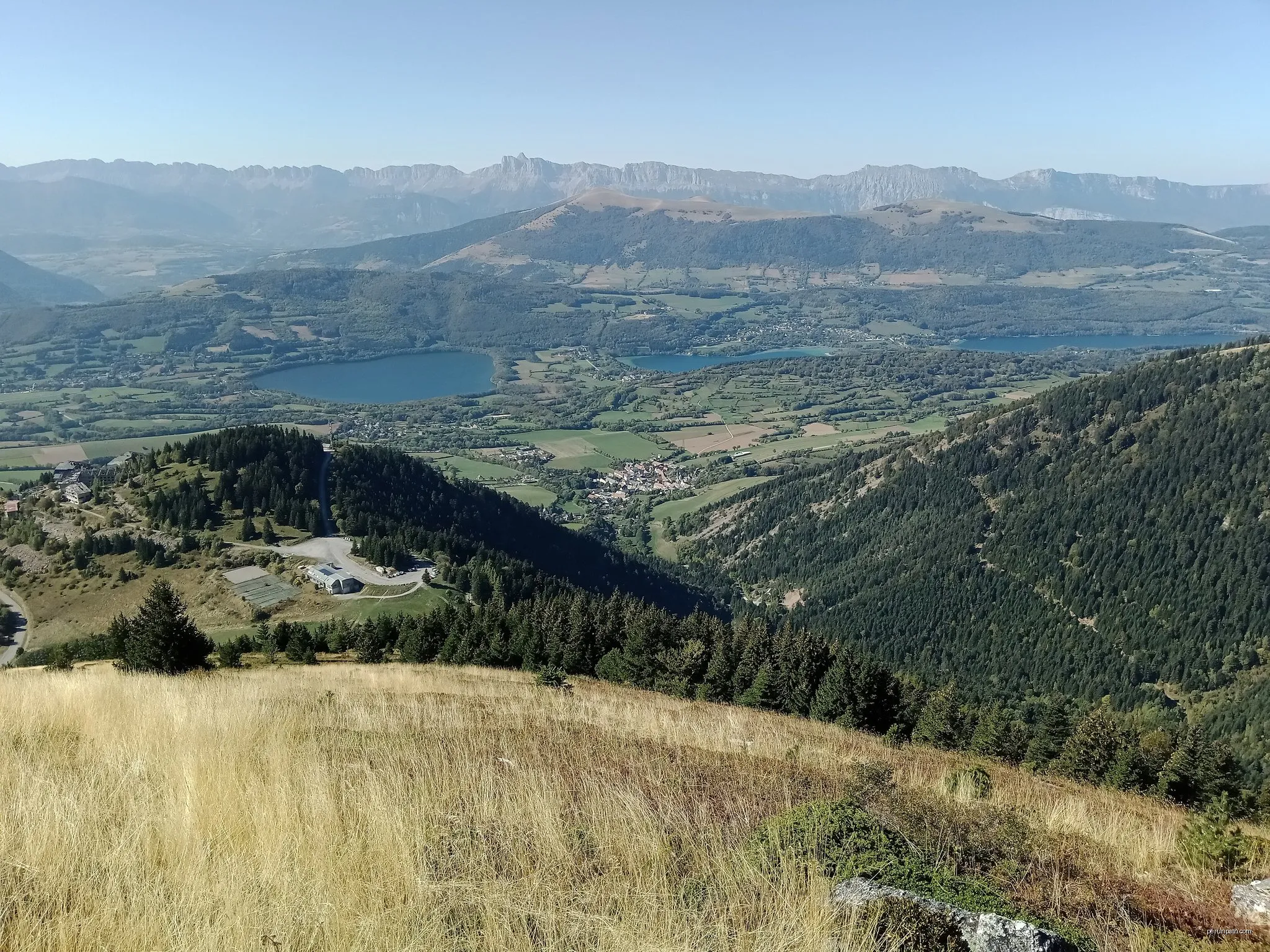 Black Forest #1