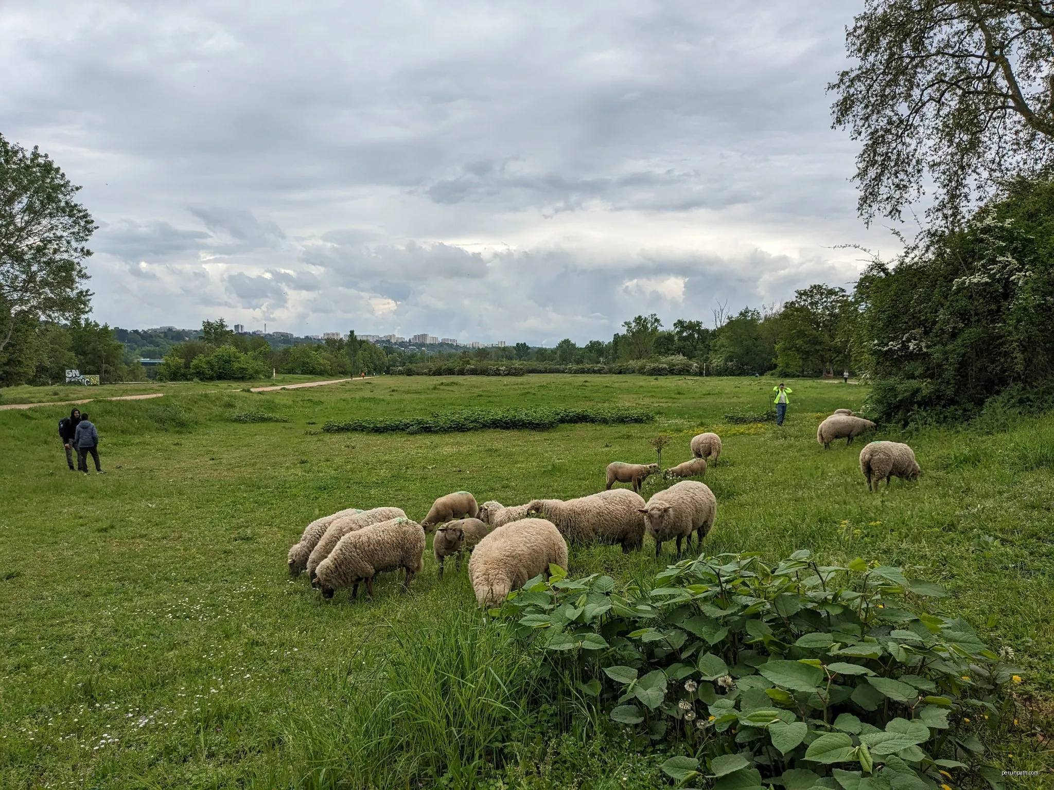 ViaRhôna