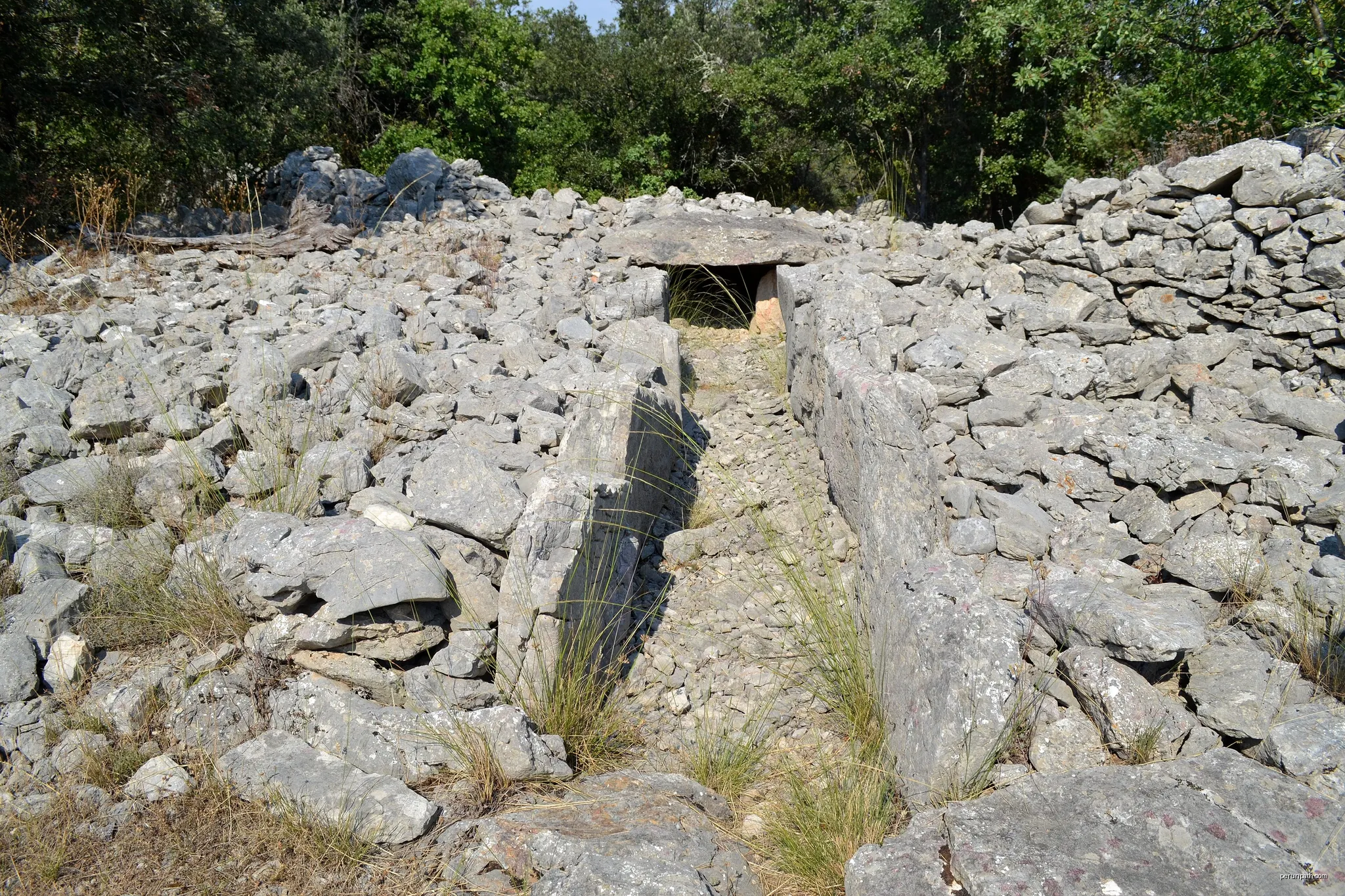 Randonnée des Drailles