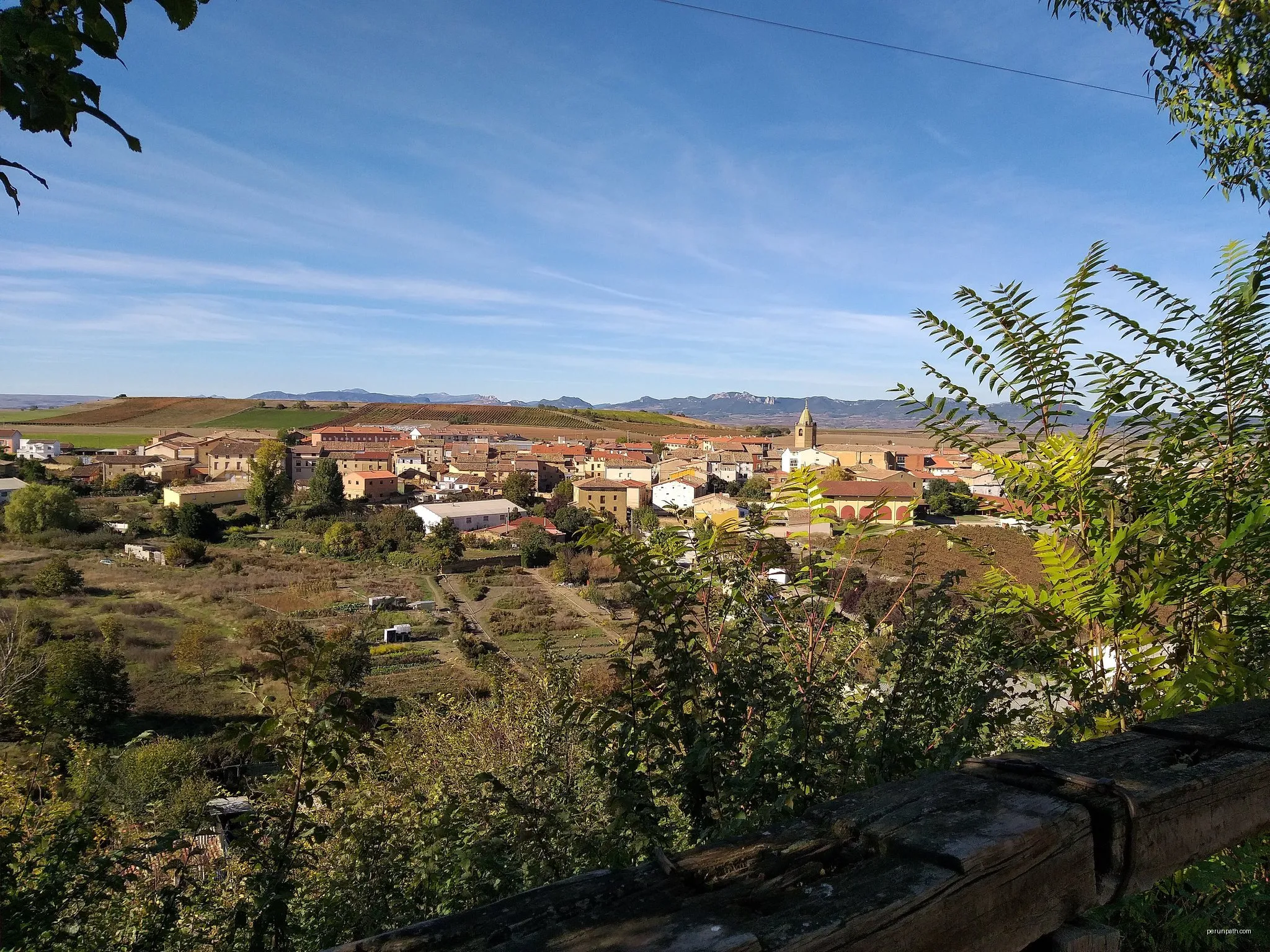 Sendero del vino ADRA-6