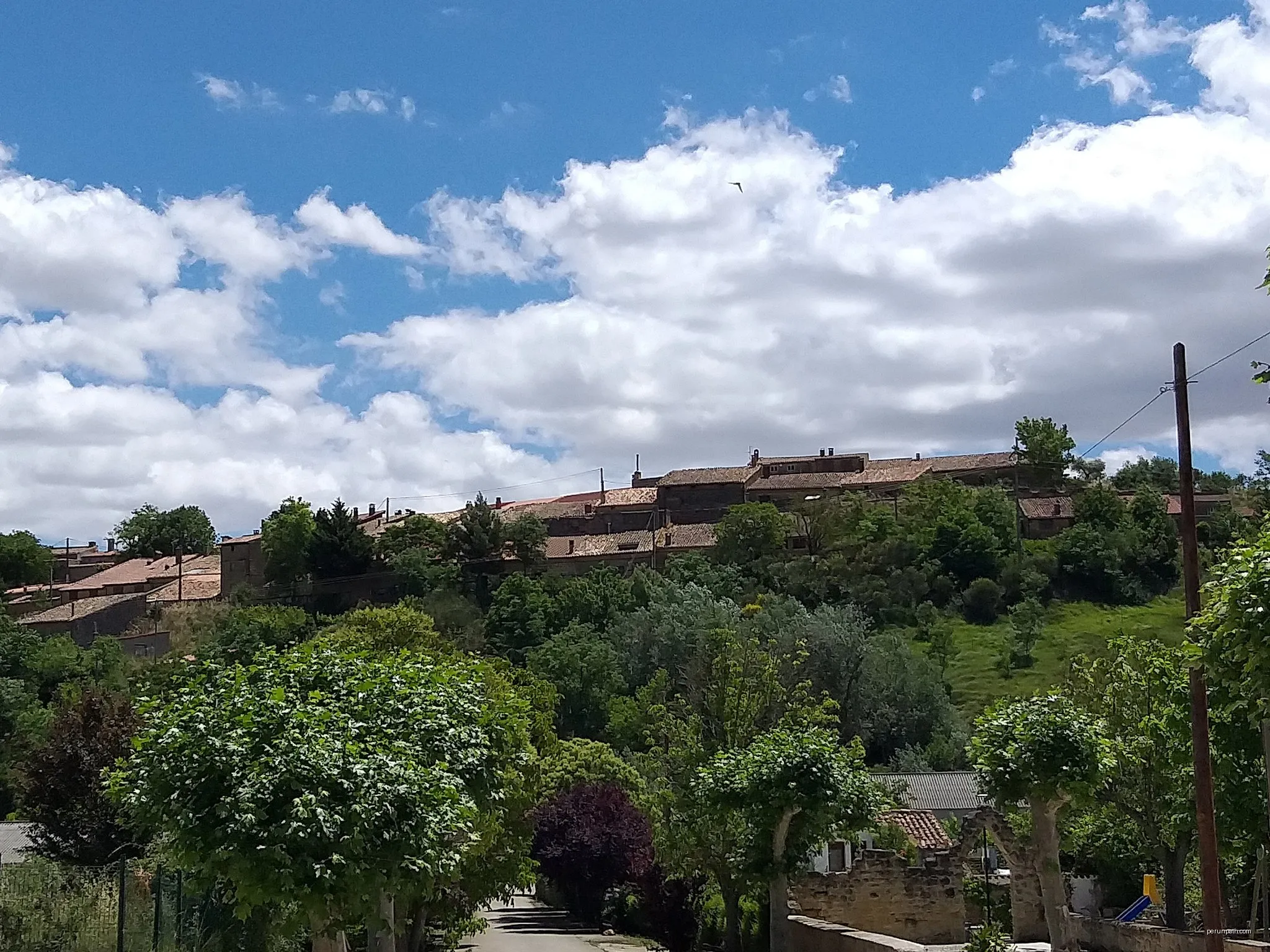 Sendero del vino ADRA-6
