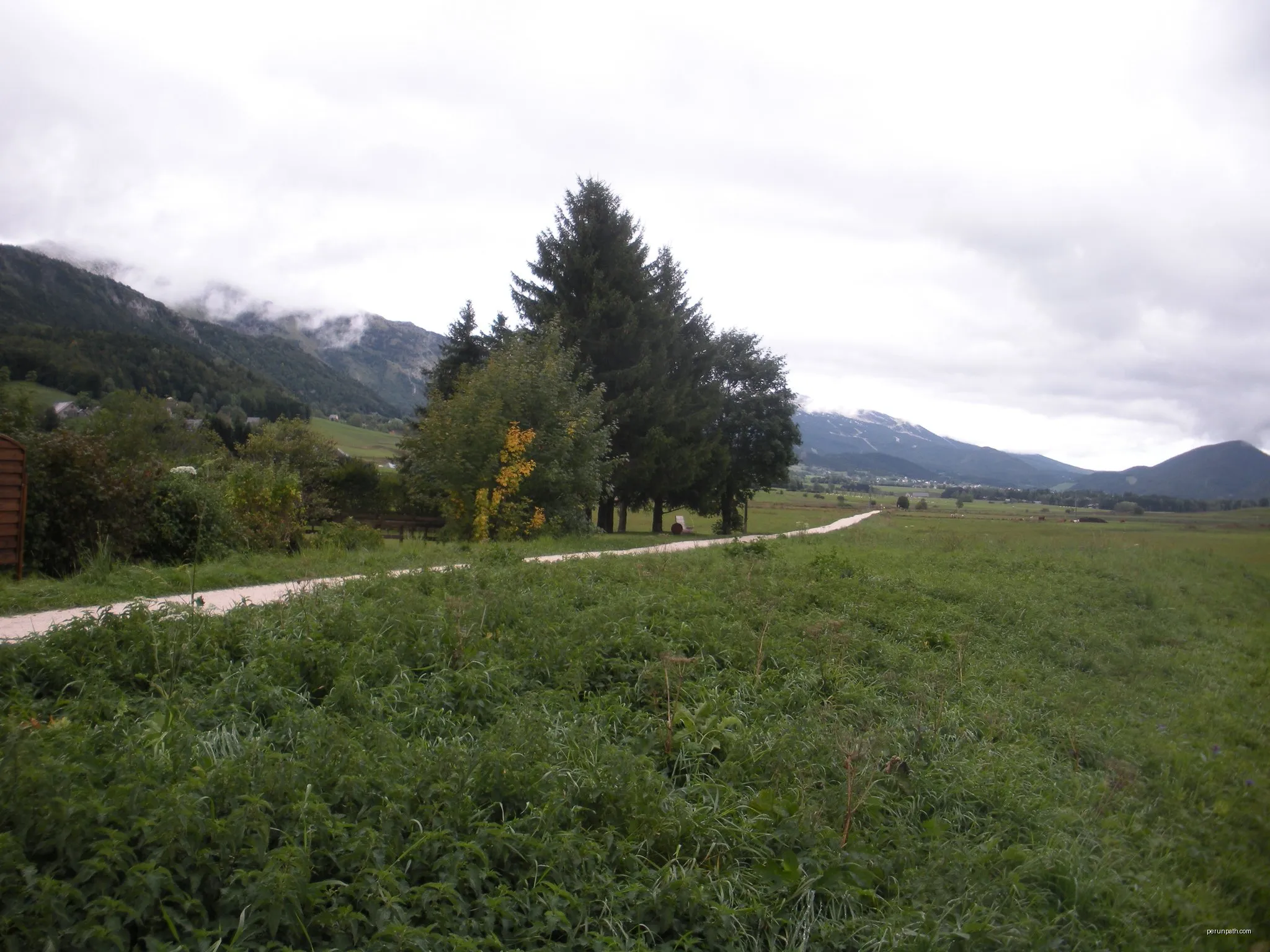 Petite Verte