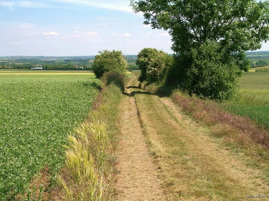 La Voie Romaine