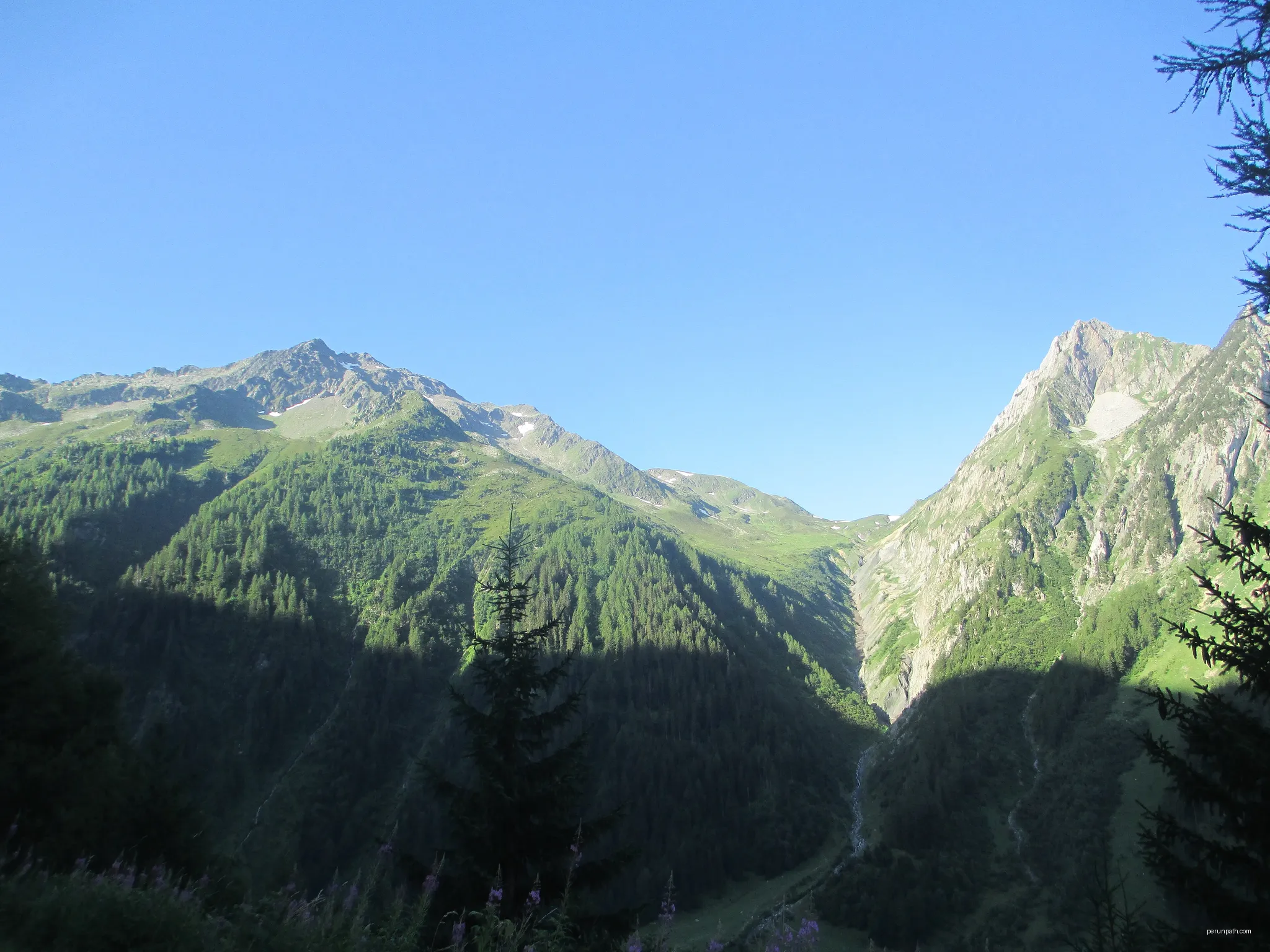 Vue sur le col de Balme et la Croix de Fer depuis la vallée de Trient. | Autor: Pucesurvitaminee | Licencja: CC BY-SA 3.0 | Źródło: Wikimedia Commons