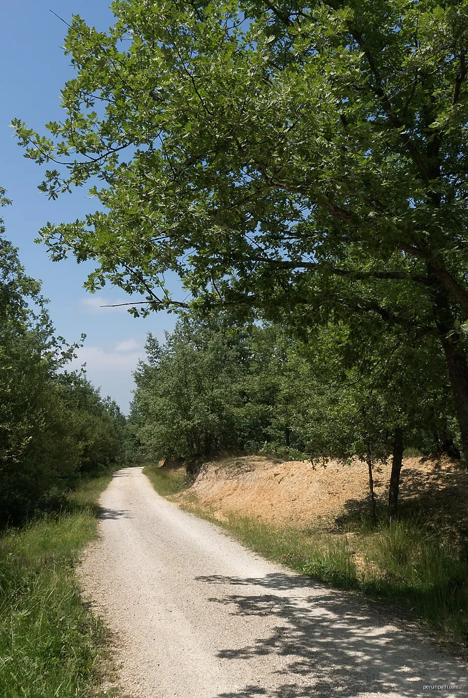 Vía Verde de la Sierra de la Demanda