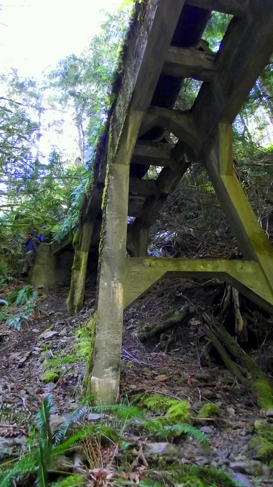 Wooden Sooke Flowline Trestle | Autor: Kiwibirdman | Licencja: CC BY 3.0 | Źródło: Wikimedia Commons