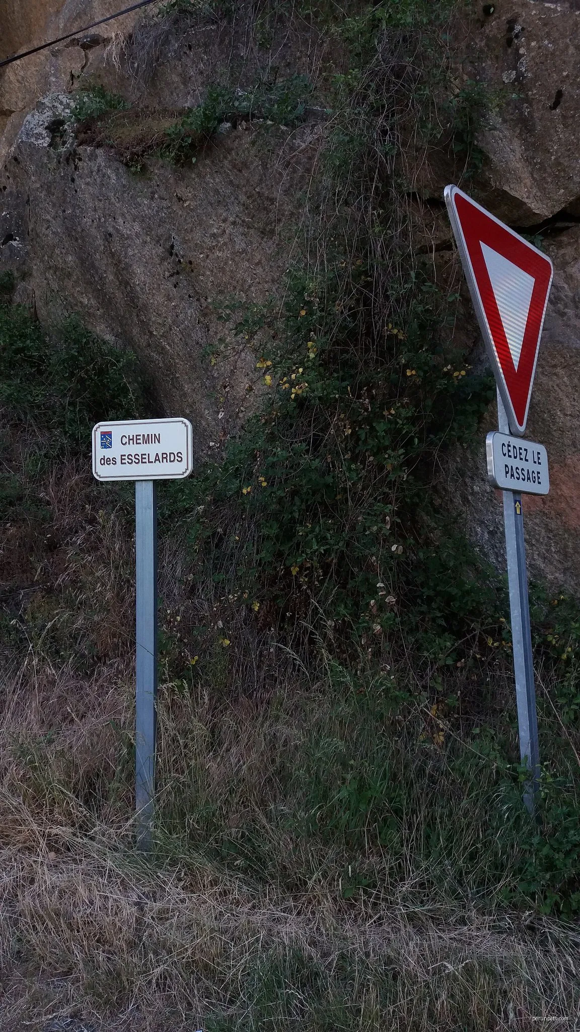 Le Crapauduc
