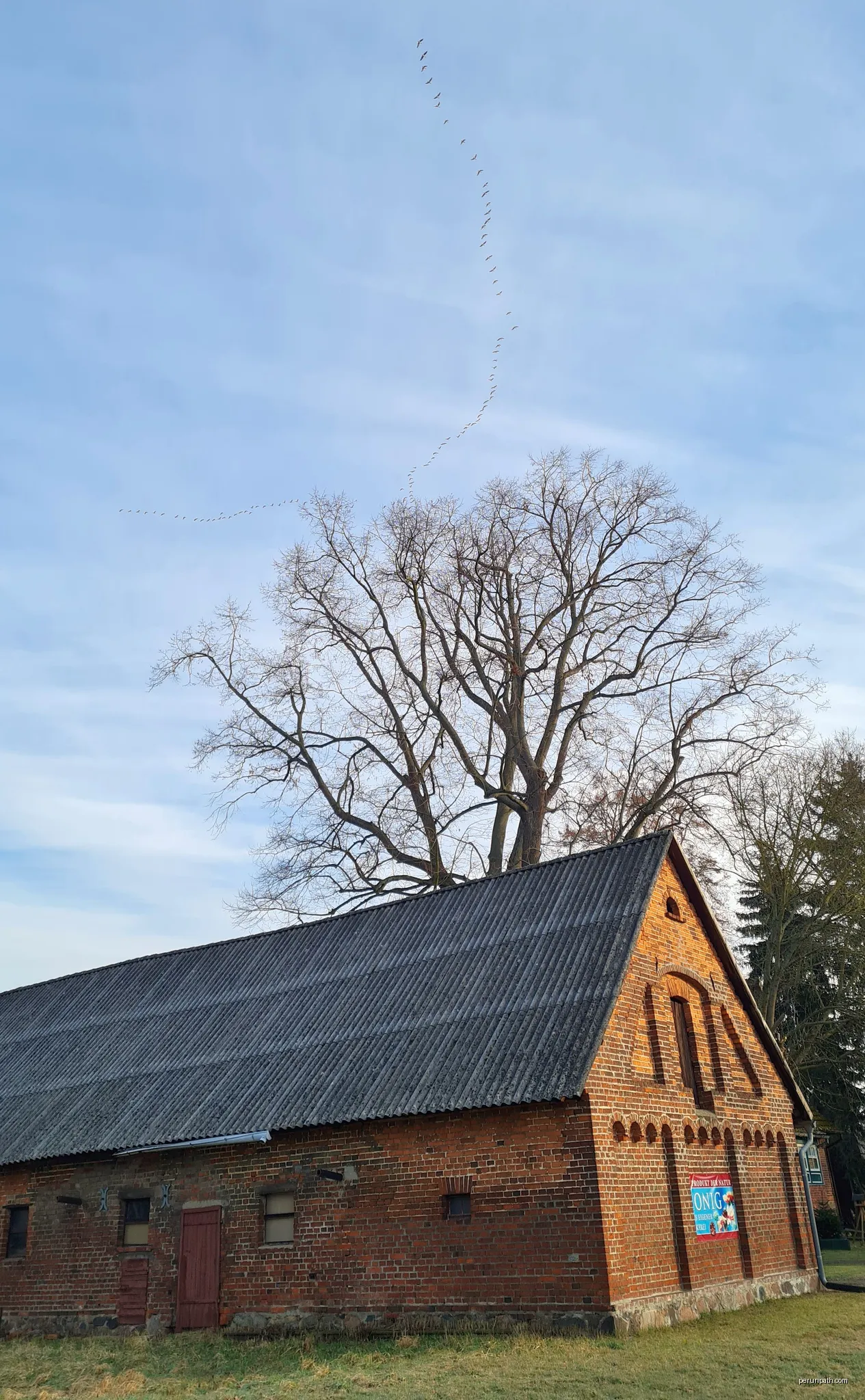 Zweite Kolonie 19, Burg (Spreewald) | Autor: Derbrauni | Licencja: CC BY 4.0 | Źródło: Wikimedia Commons