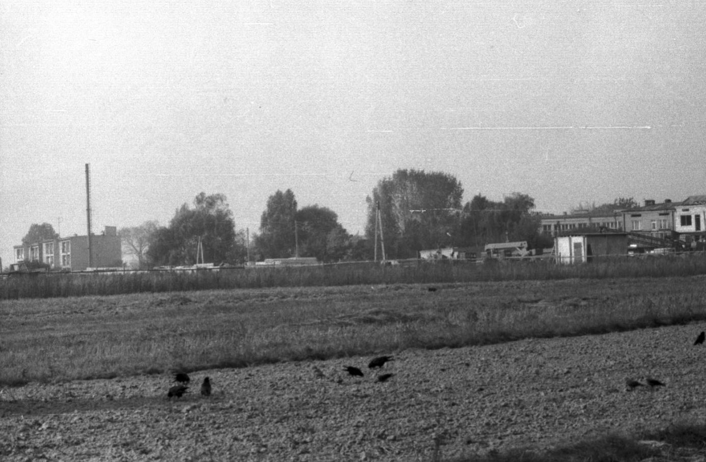 Szlak Leśny