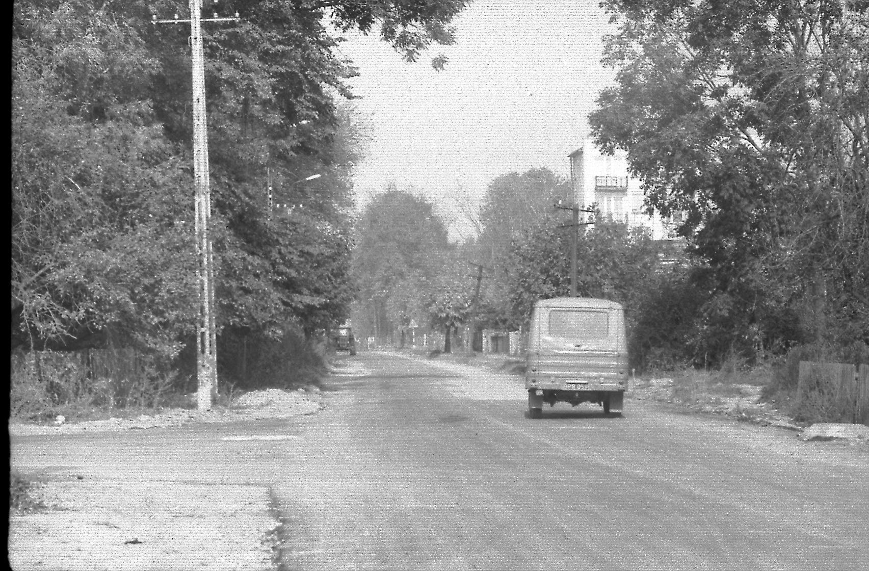 Szlak Leśny